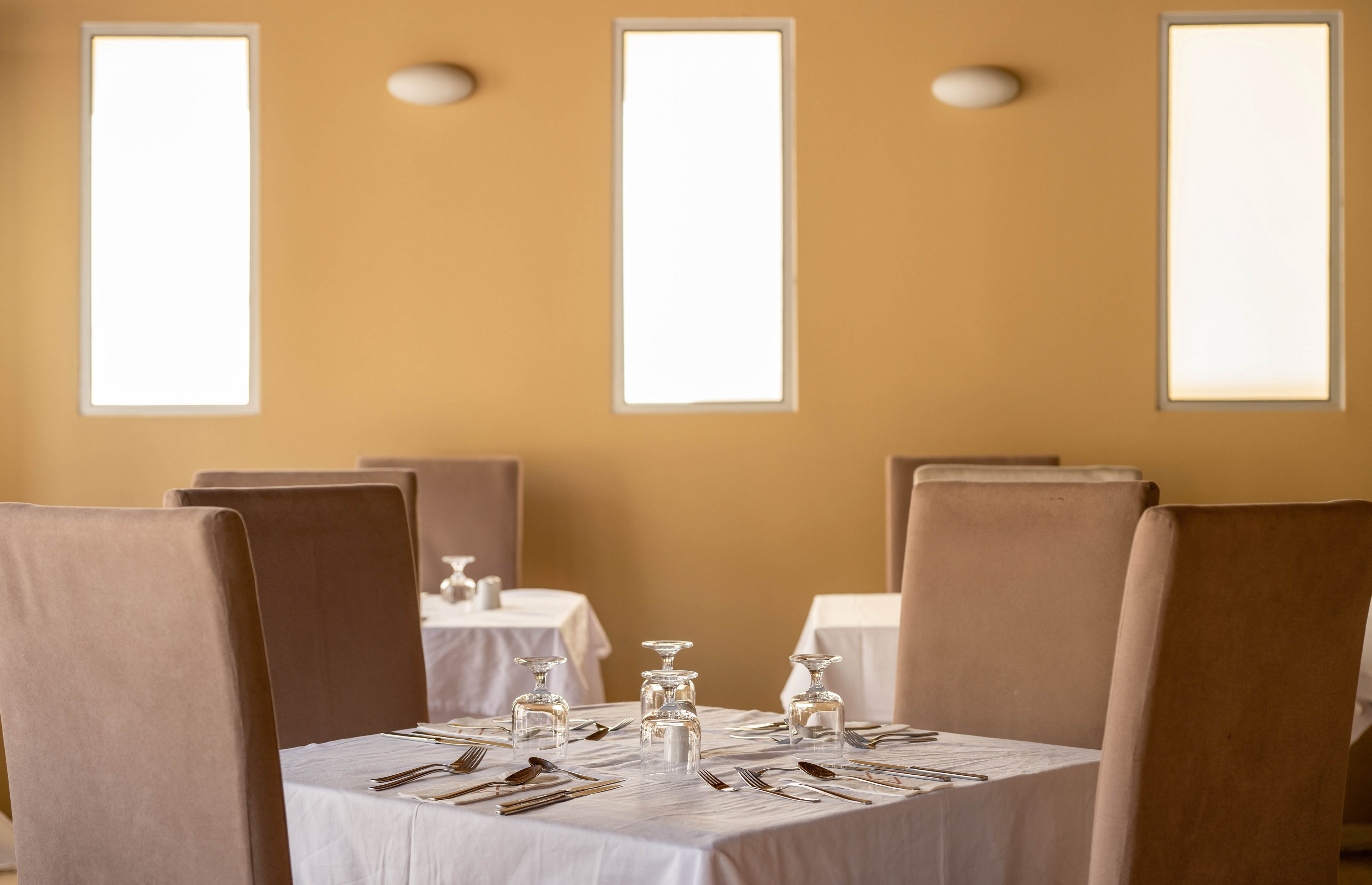 Canvas by Mitsis Petit Palais