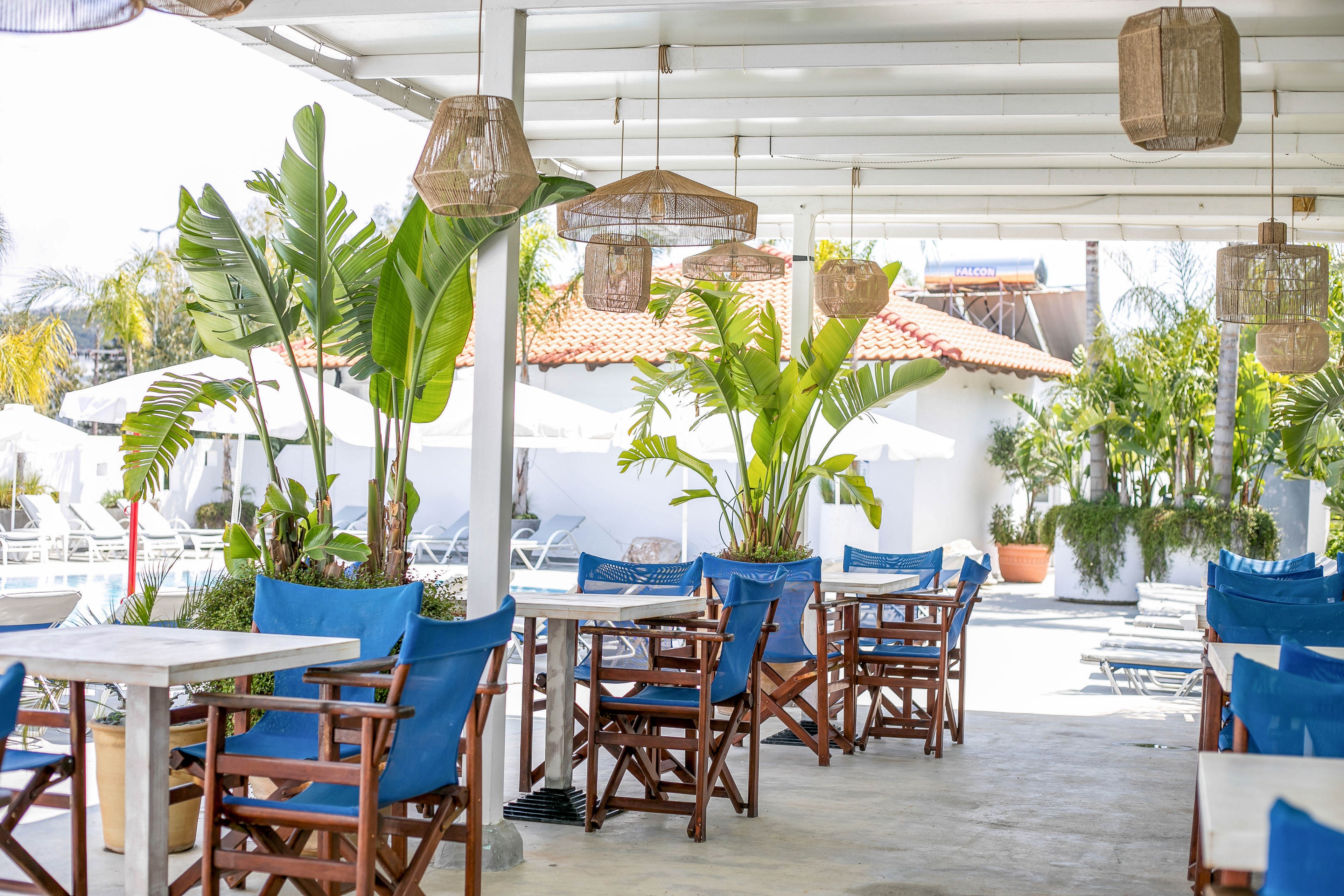 An open-air café terrace features wooden chairs with bright blue fabric seats and white tables. Large tropical plants in pots add greenery between the seating areas under a white pergola roof. Woven rattan pendant lights hang from the ceiling, creating a relaxed coastal atmosphere. In the background, white buildings, sun loungers, and umbrellas suggest a poolside or resort setting on a sunny day.