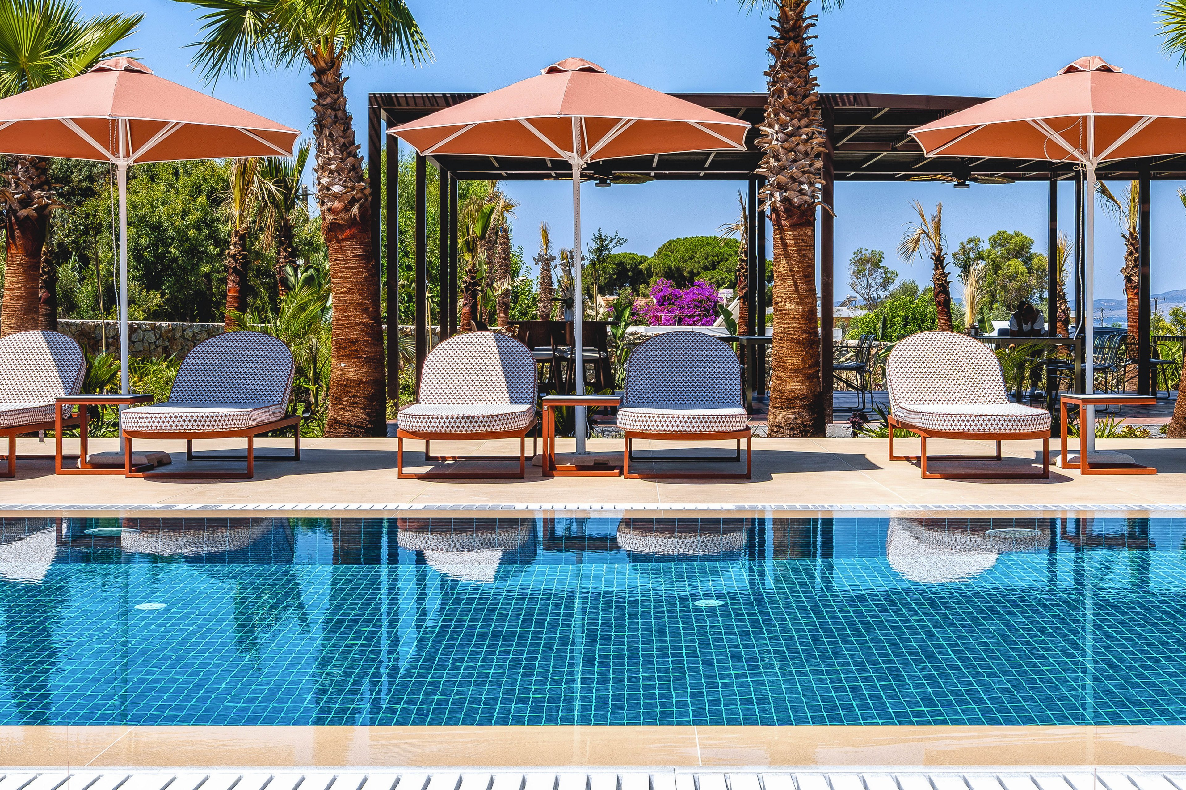 A bright resort swimming pool is lined with cushioned lounge chairs and large parasol umbrellas. Palm trees and lush greenery frame the pool area, creating a tropical vacation atmosphere. The clear blue water reflects the tiled pool floor and the surrounding sunlit terrace. In the background, flowering plants and a shaded pergola add color and depth to the relaxing outdoor scene.