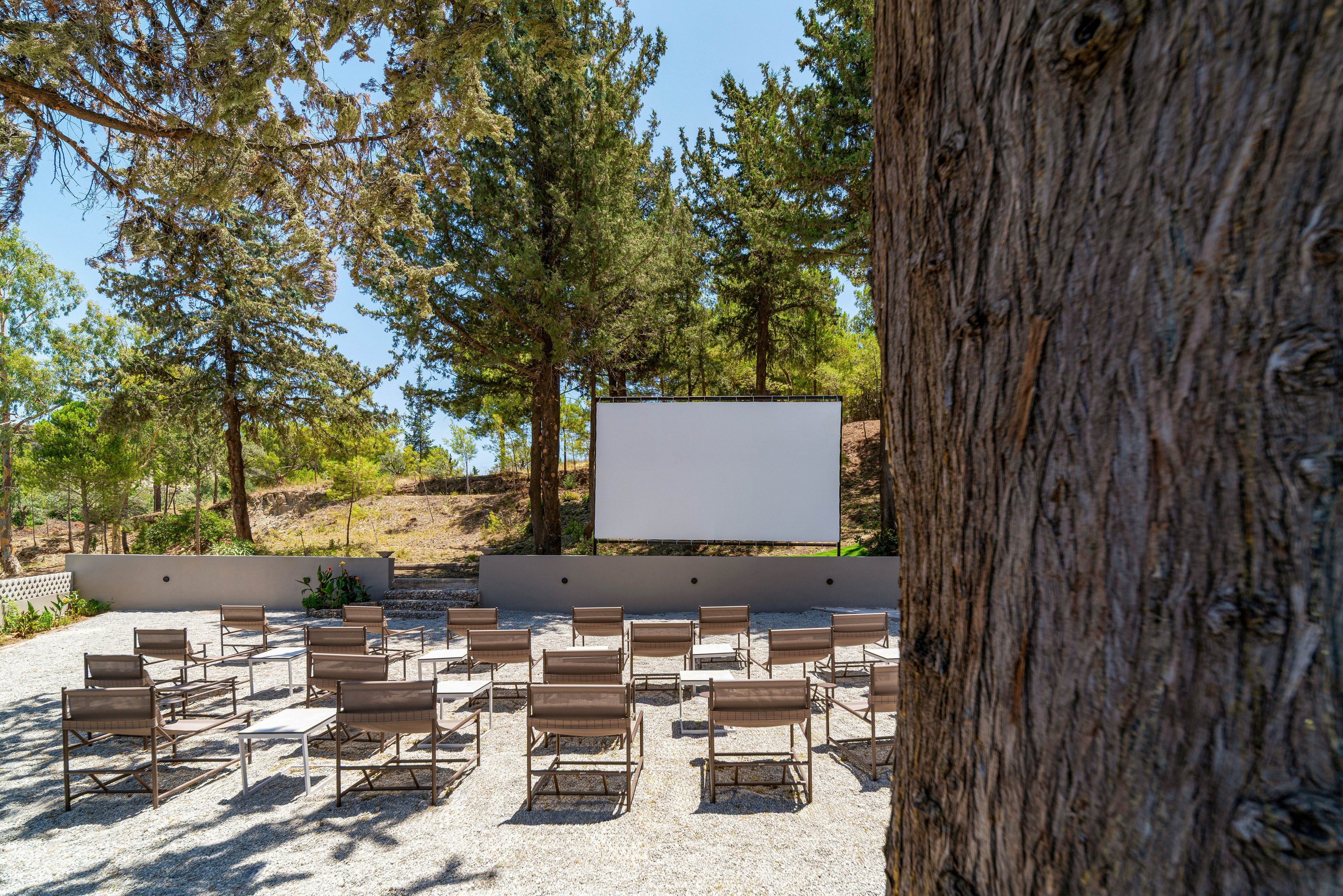 An outdoor cinema setup features rows of empty chairs facing a large white projection screen. The seating area is arranged on a gravel surface surrounded by low walls and planters. Tall trees and natural greenery frame the scene, creating a relaxed open-air atmosphere. Bright daylight and clear skies suggest a daytime or early evening screening in a tranquil forest setting.