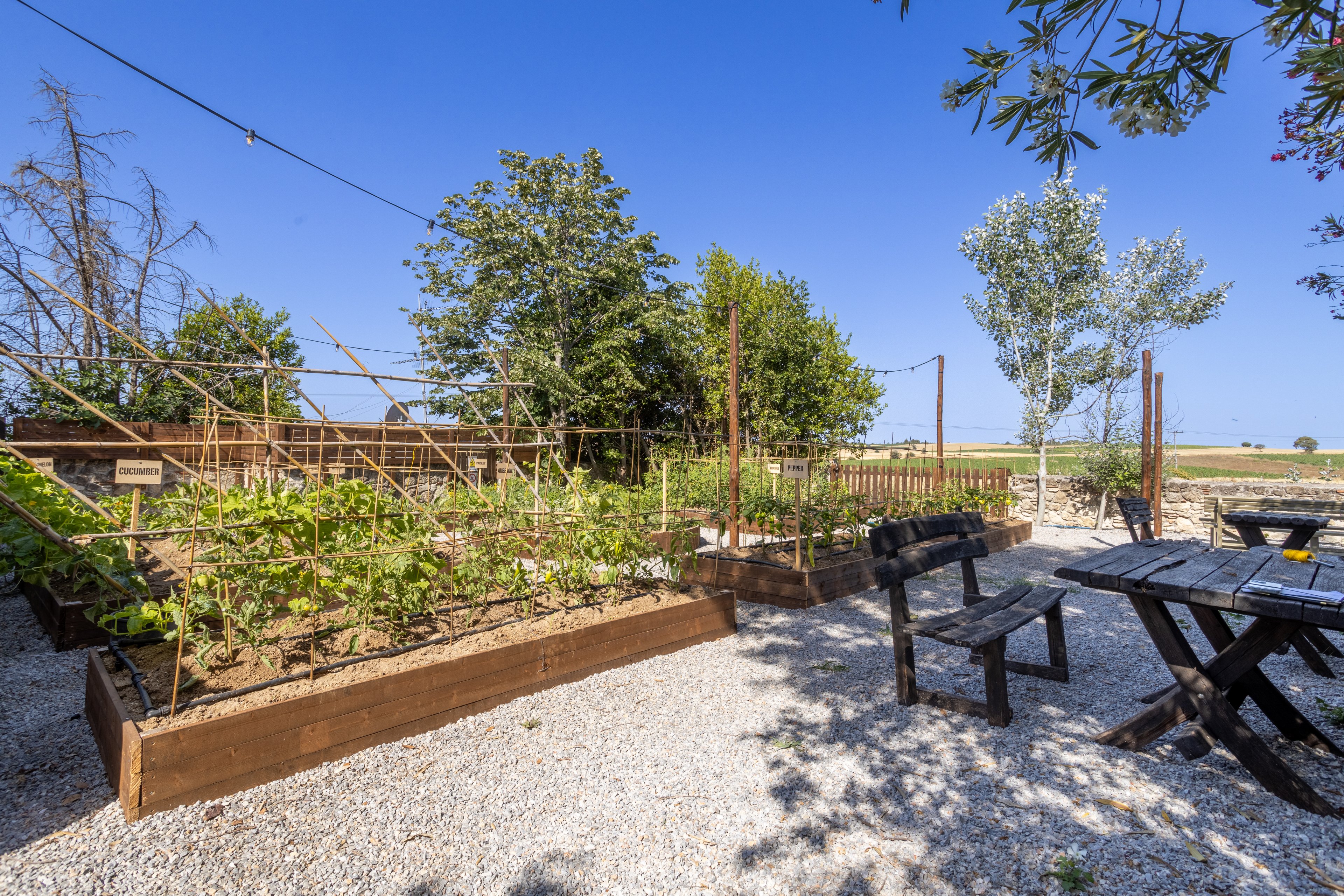 Petrino Suites Hotel