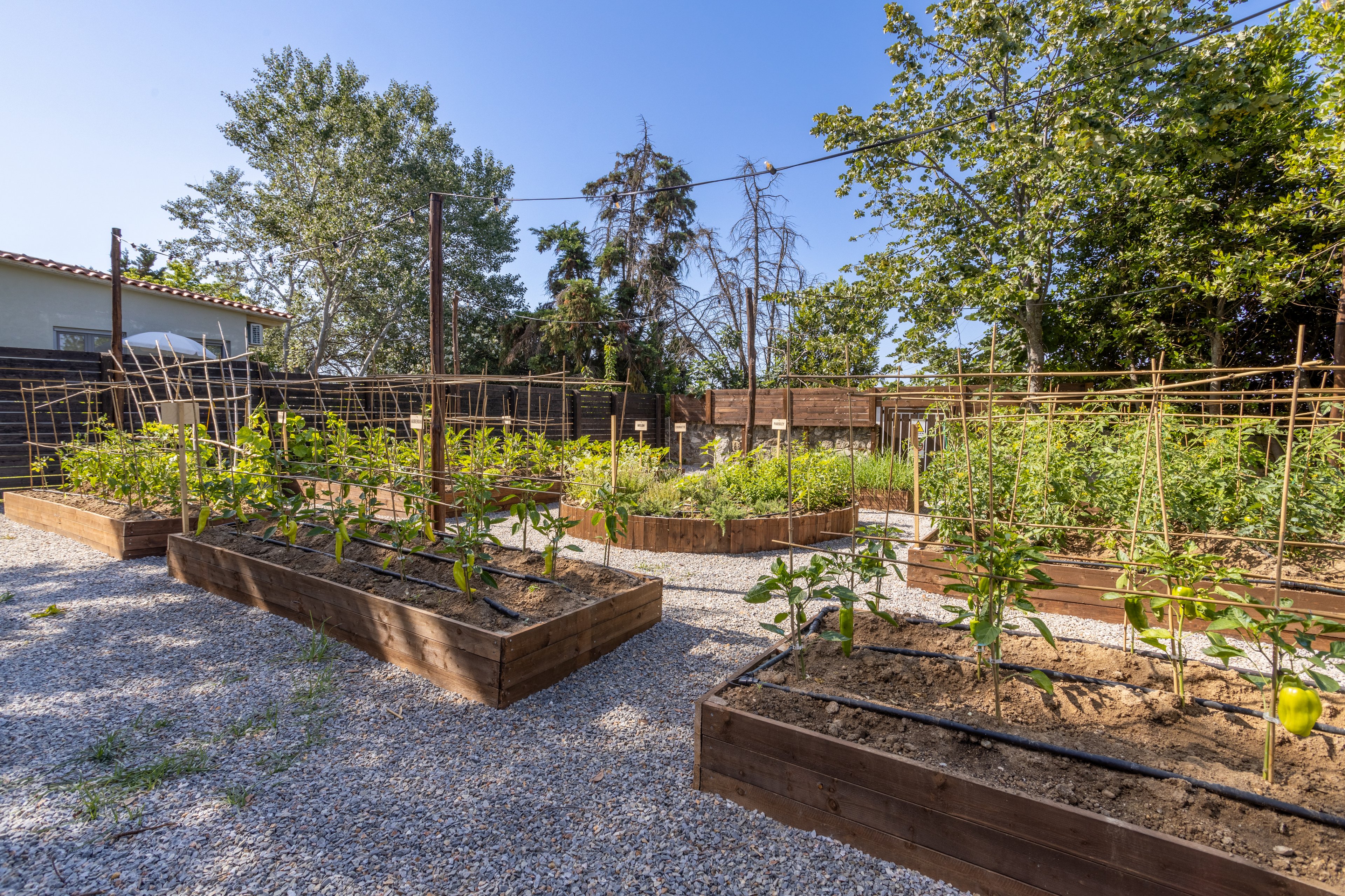 Petrino Suites Hotel