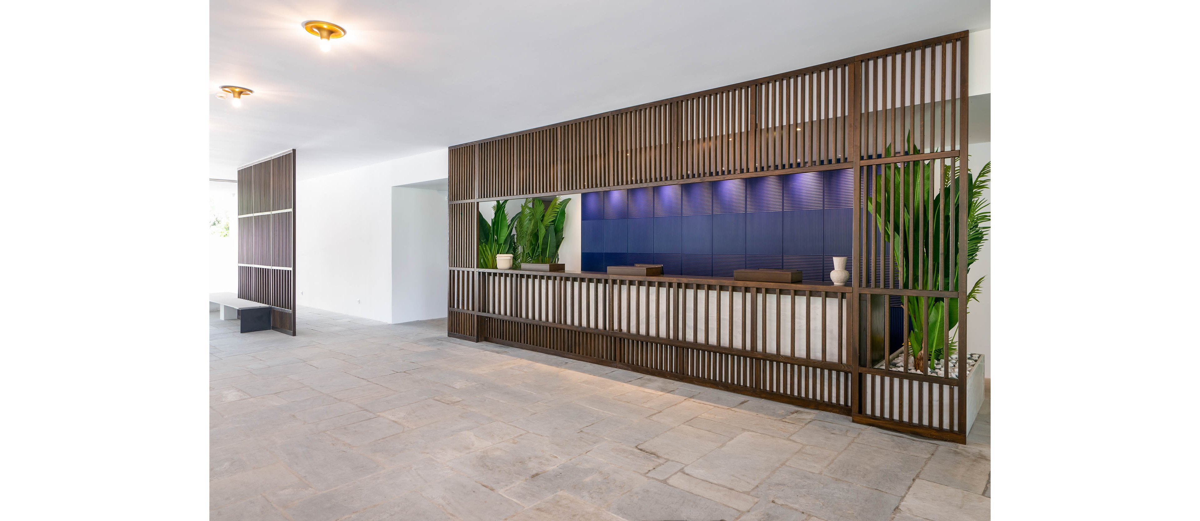 Contemporary reception area features a long wooden-front desk framed by vertical slats. The space is open and minimalist, with light stone flooring and white walls. Tall green plants in planters add natural accents on both sides of the counter. Soft ceiling lights and a blue-toned wall behind the desk create a calm, welcoming atmosphere.