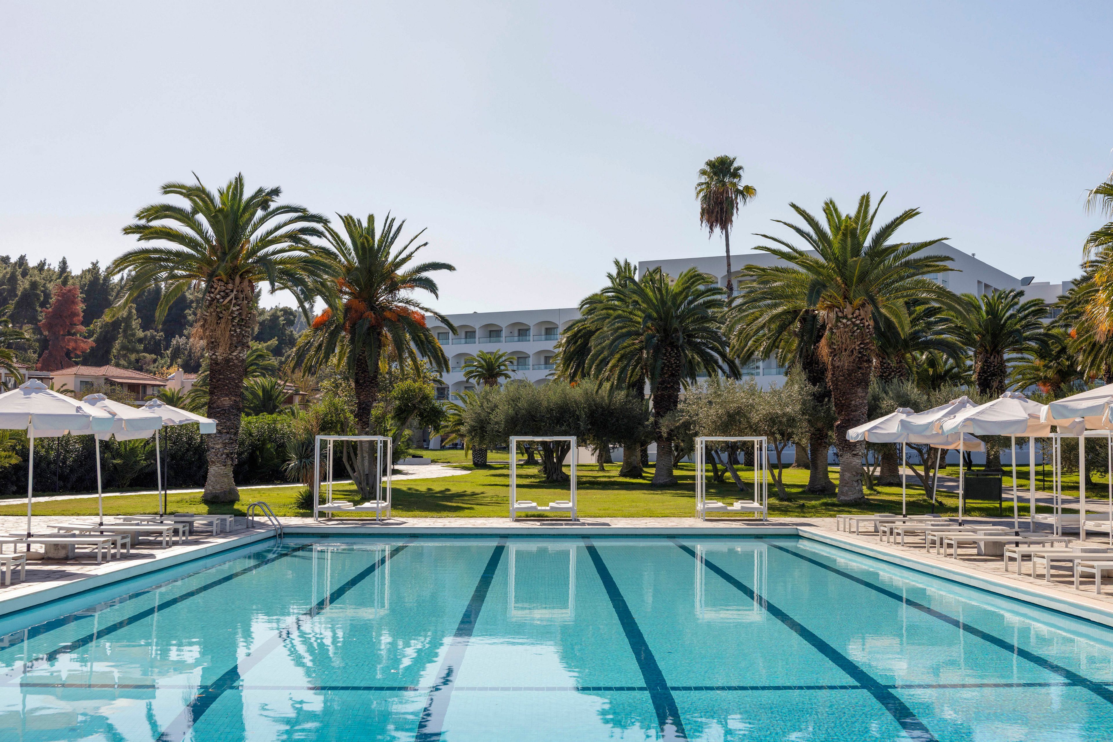 A large outdoor swimming pool stretches toward a lush garden lined with tall palm trees. White sun loungers and umbrellas surround the pool, creating a relaxing resort atmosphere. In the background, a grand white hotel building rises above the landscaped lawns. The scene is bright and sunny, suggesting a warm vacation destination.