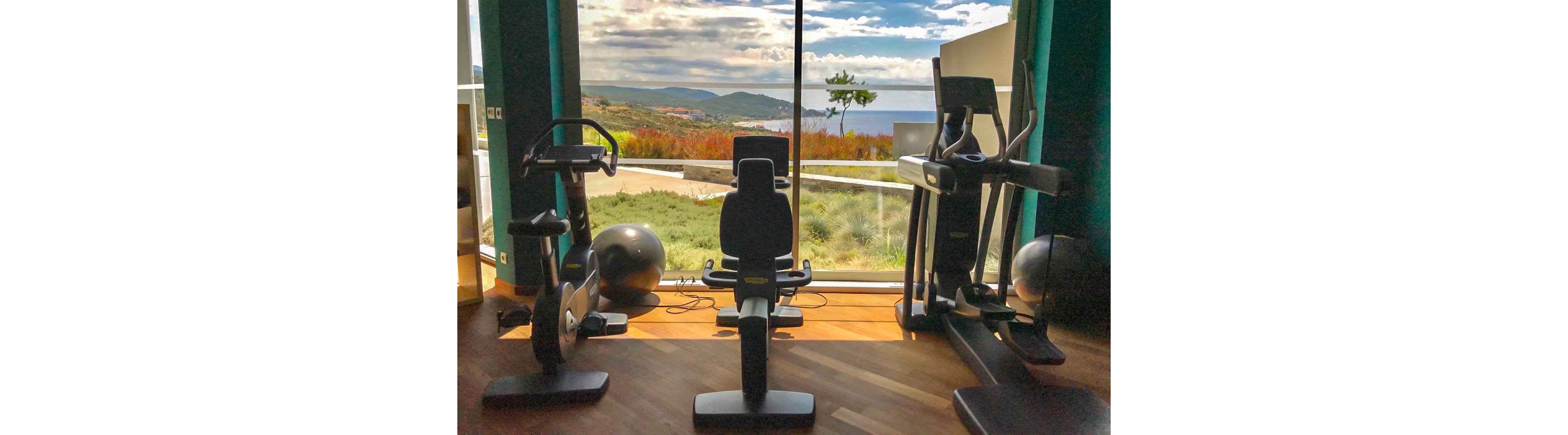 A compact home gym features several pieces of exercise equipment arranged in front of a large floor-to-ceiling window. Cardio machines and a stationary bike are silhouetted against bright natural light. Outside, a coastal landscape with hills, vegetation, and the sea stretches into the distance under a partly cloudy sky. The polished wooden floor and clean interior create a modern, tranquil workout environment.