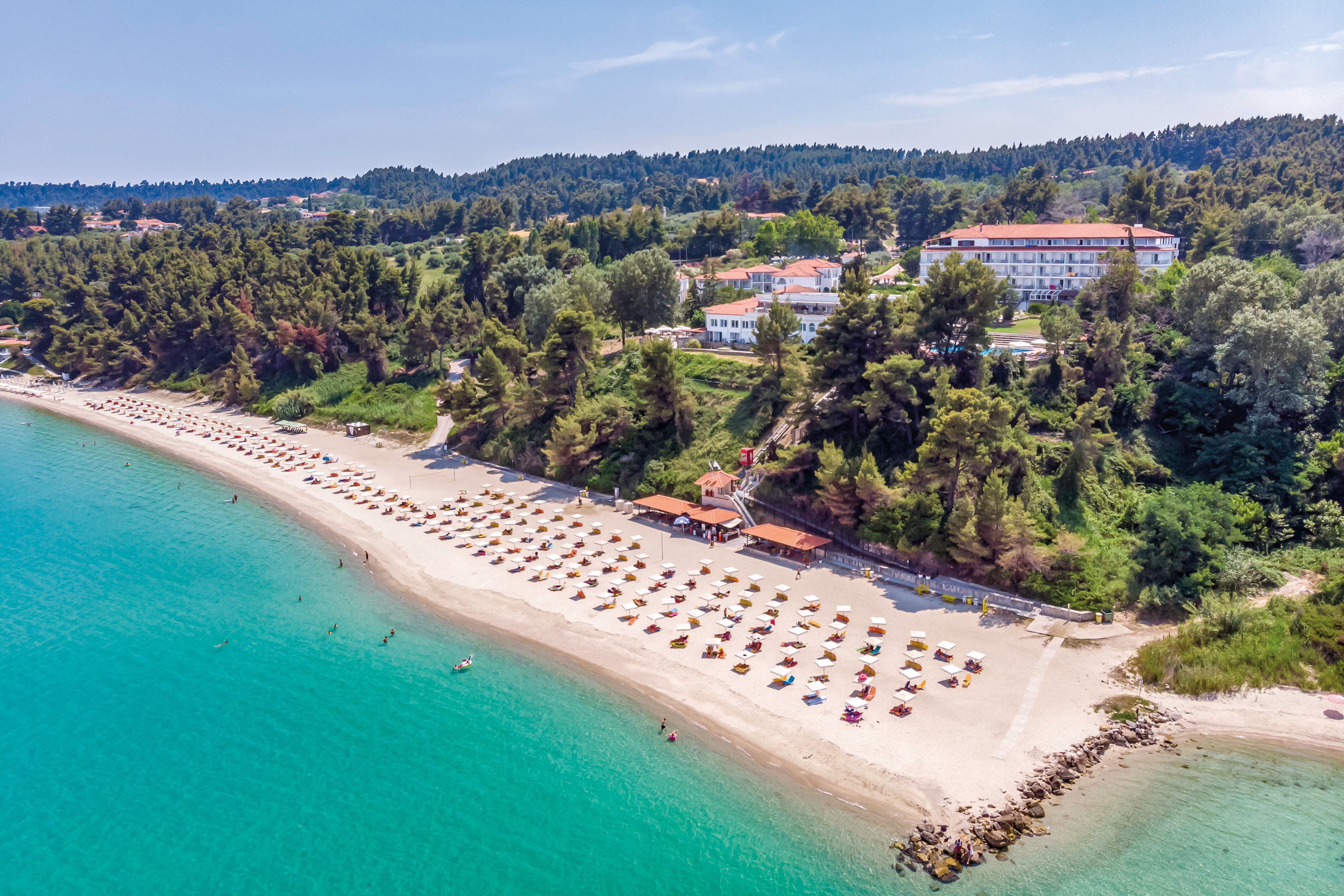 Mitsis Alexander The Great