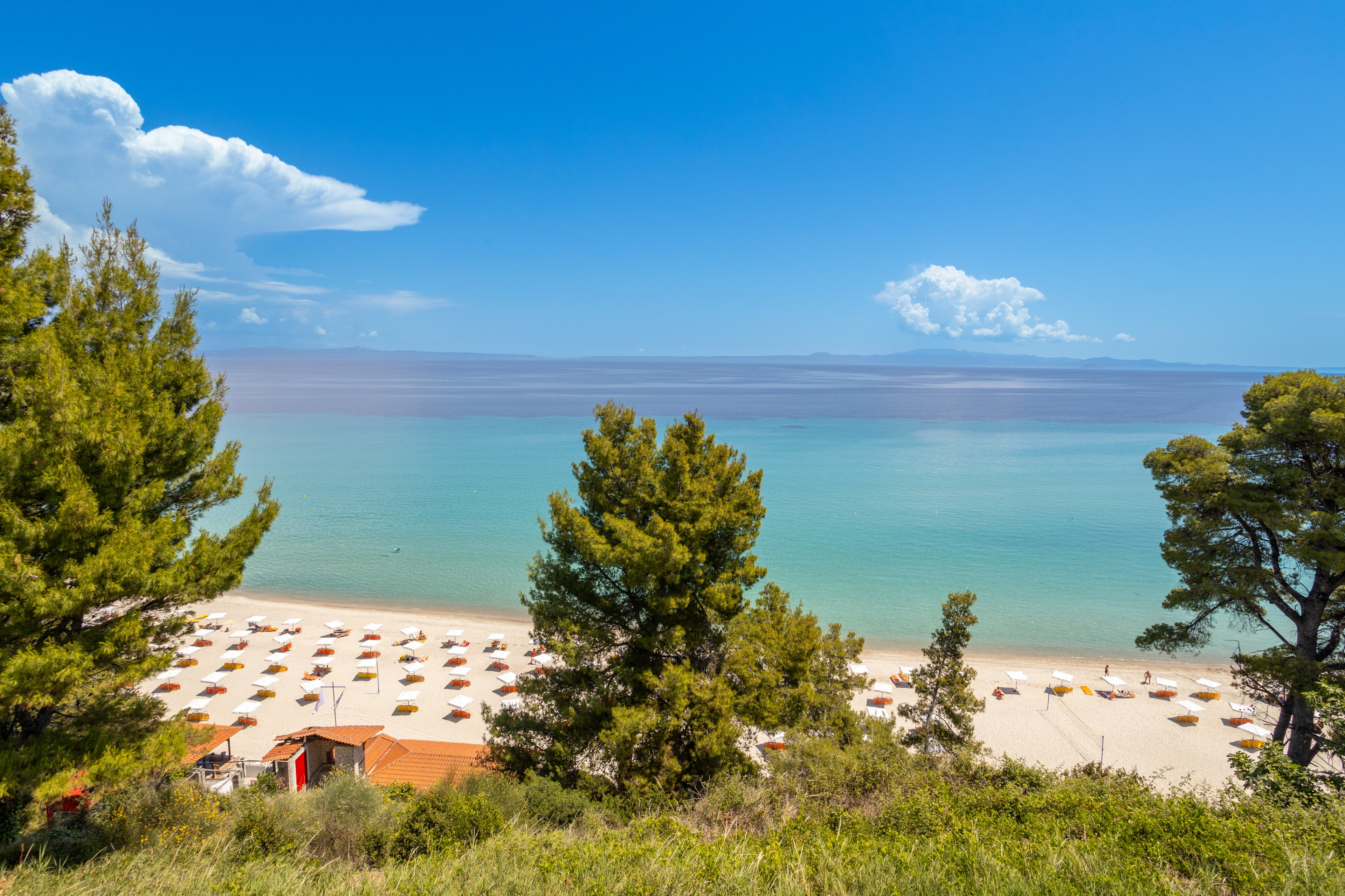 Mitsis Alexander The Great