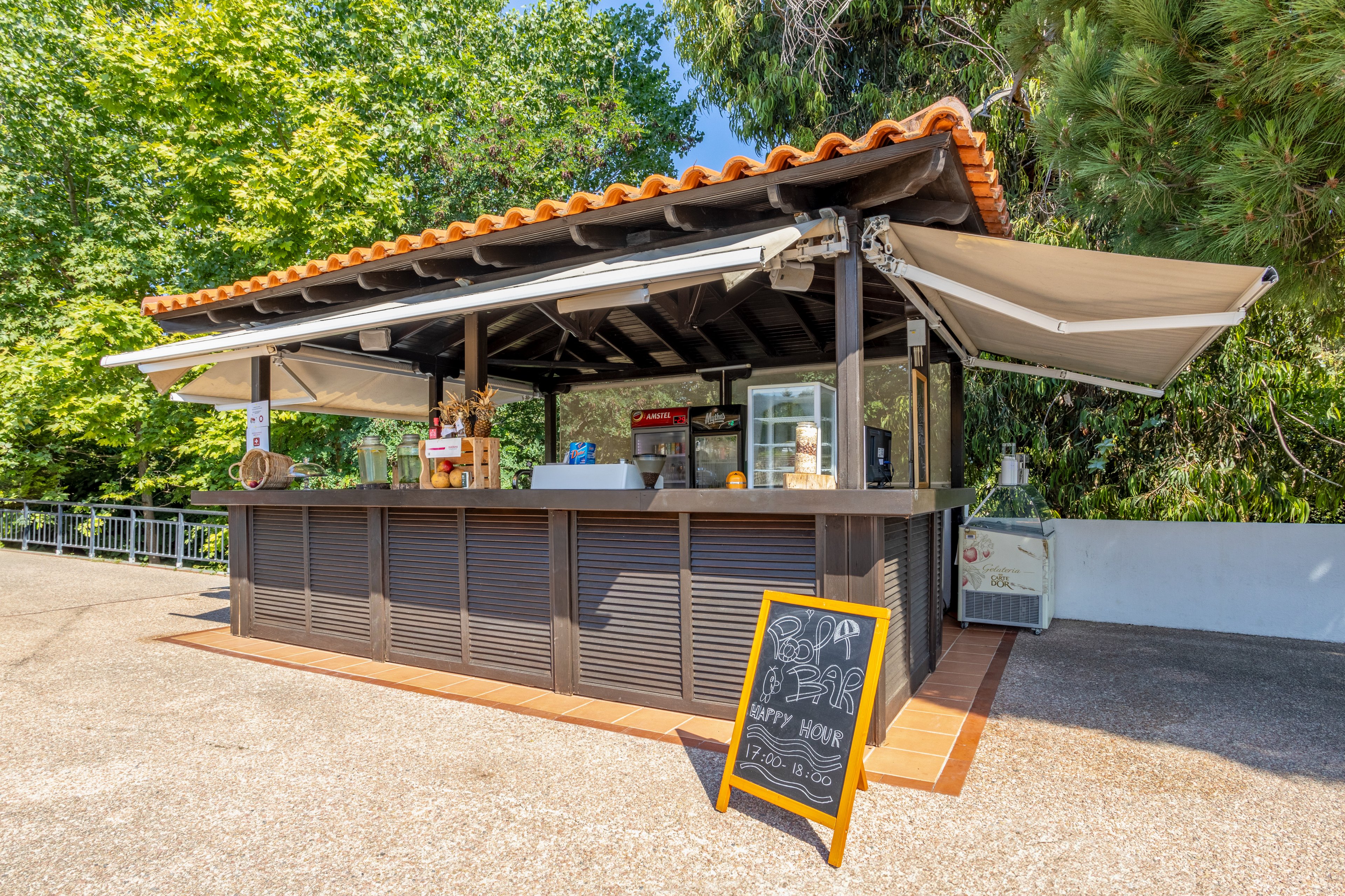 Mitsis Alexander The Great