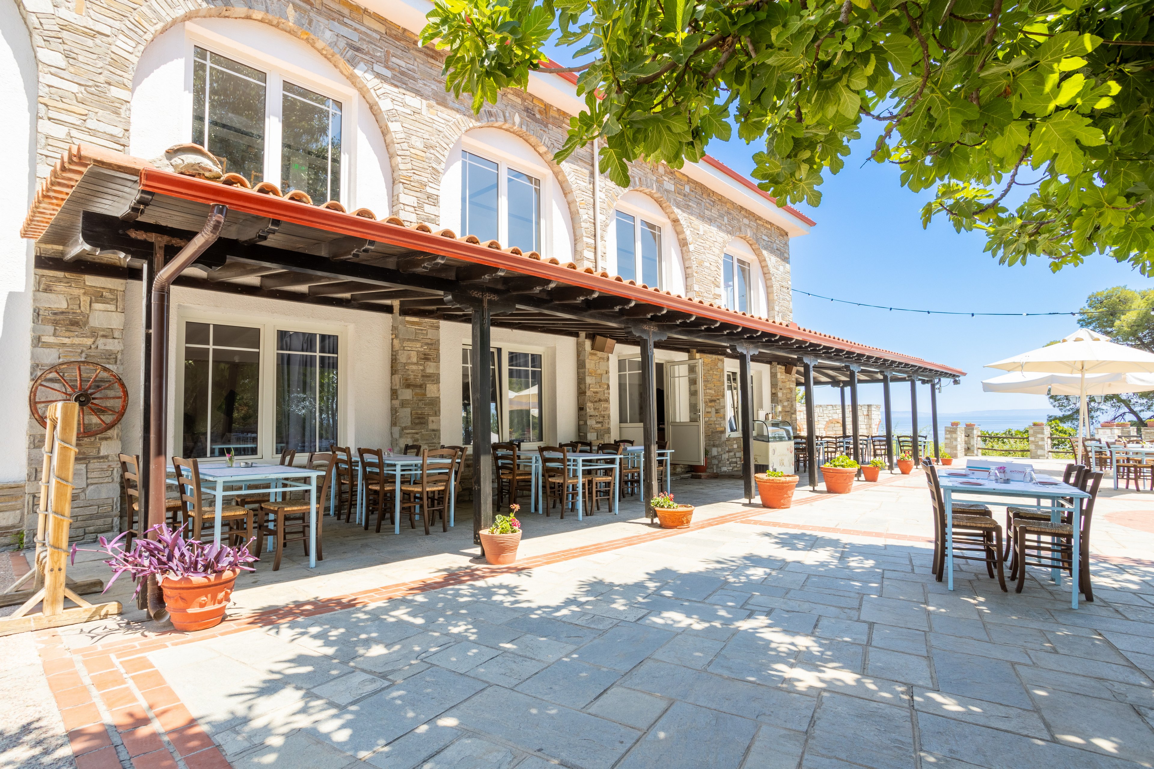 Mitsis Alexander The Great