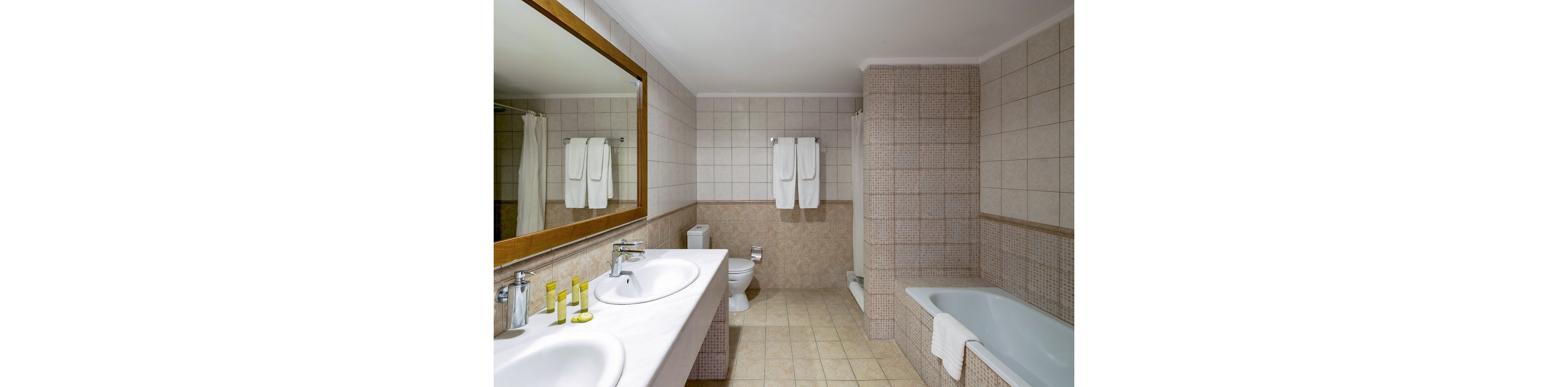 Mitsis Alexander The Great