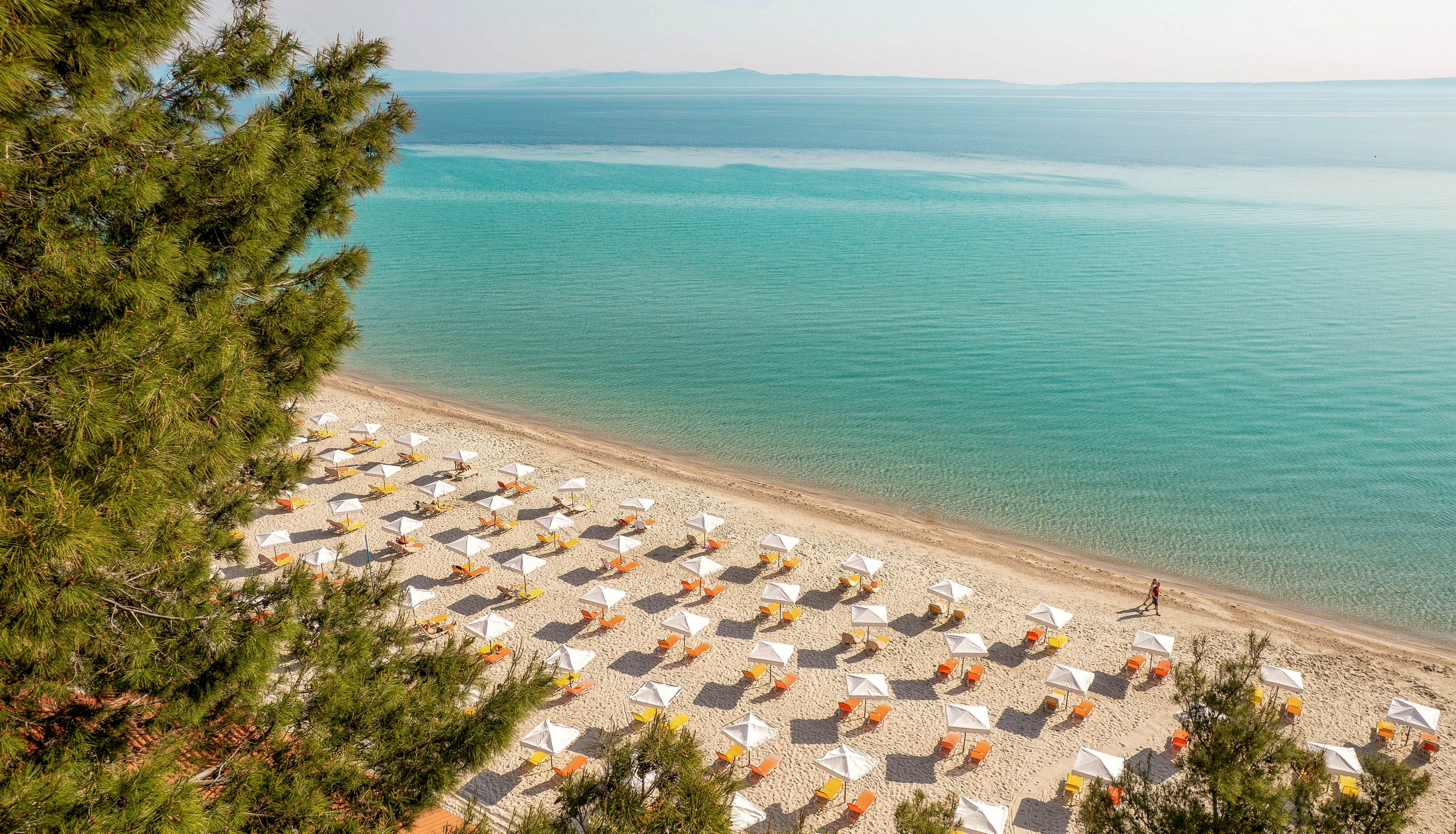 Canvas by Mitsis Alexander the Great