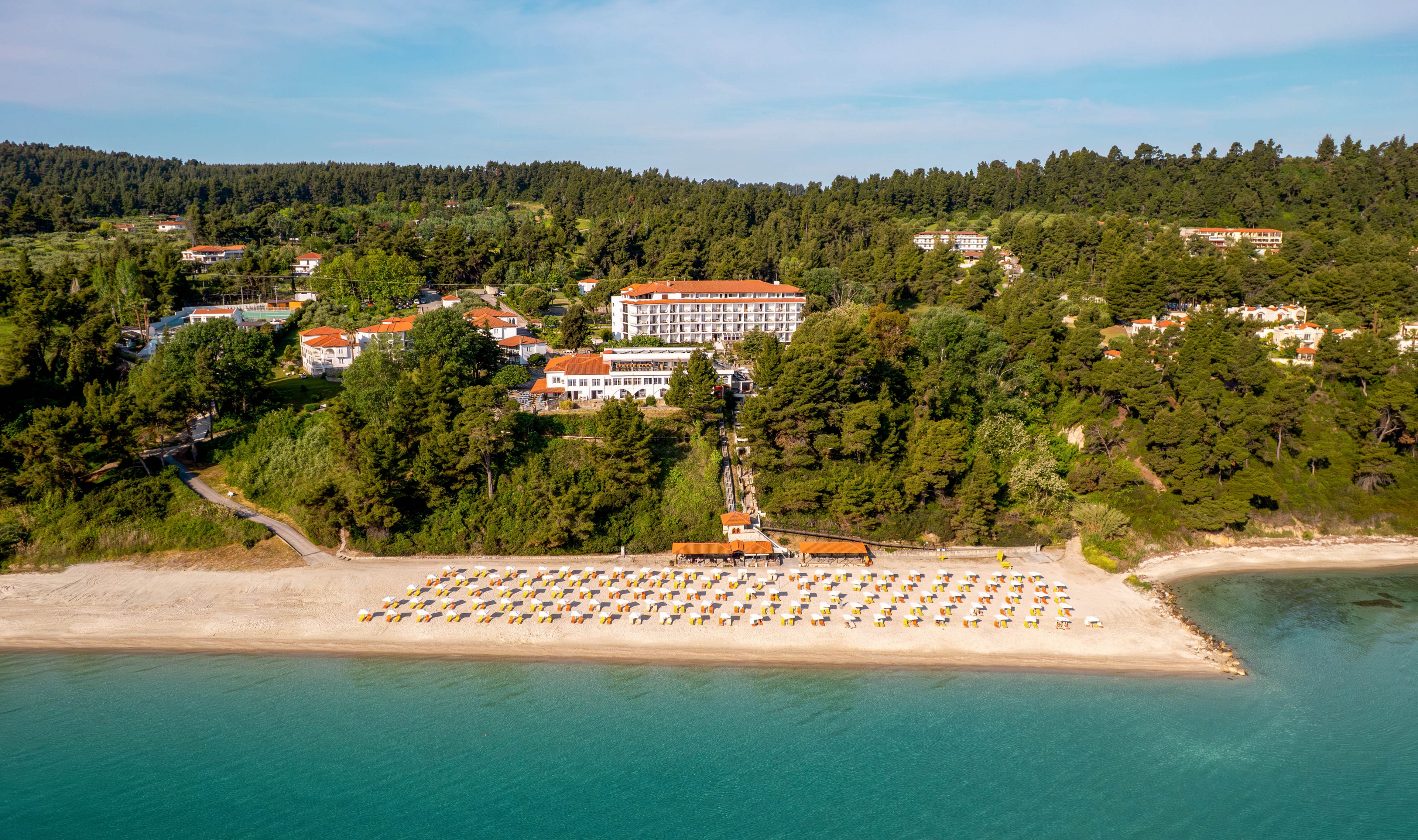 Canvas by Mitsis Alexander the Great