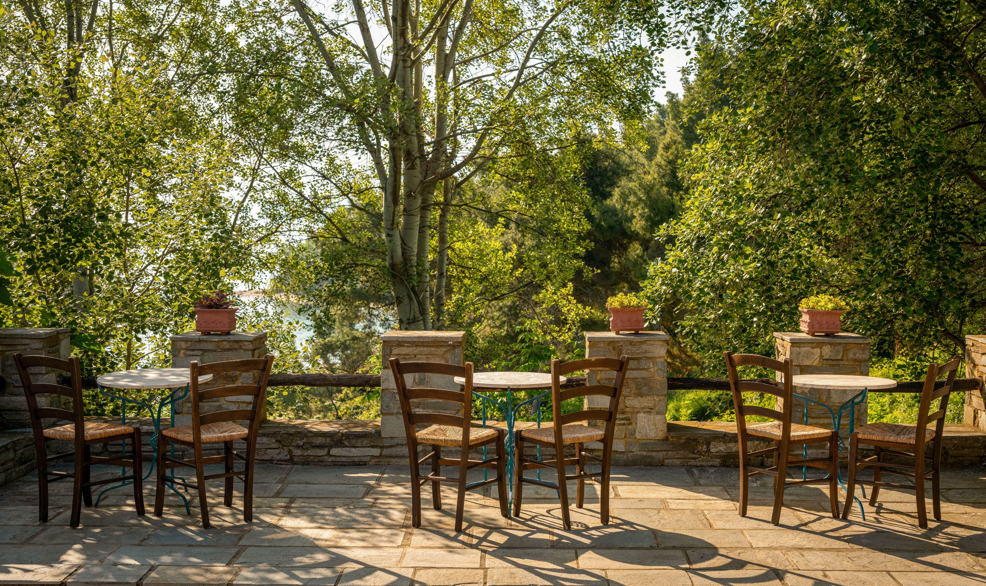 Canvas by Mitsis Alexander the Great