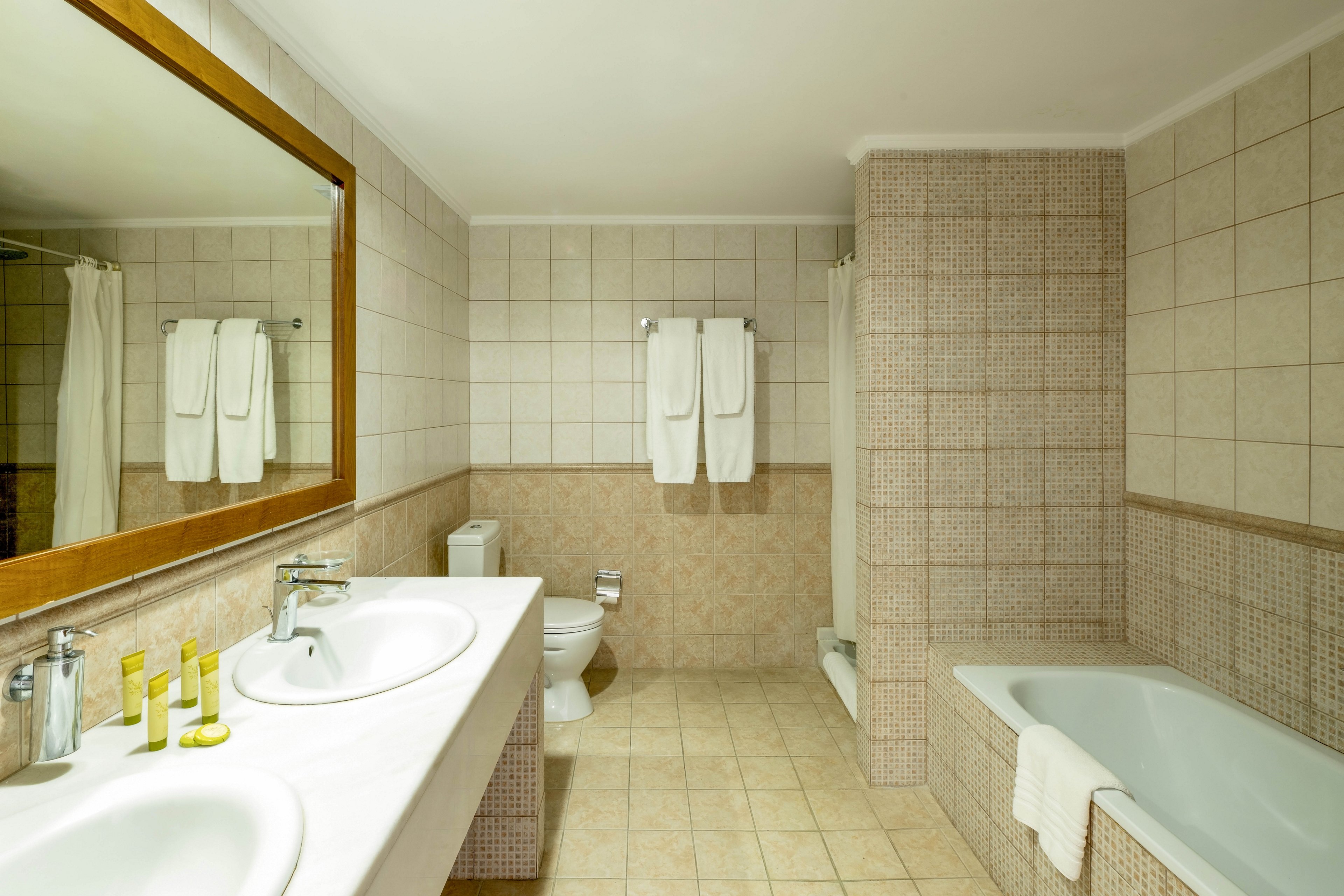 Canvas by Mitsis Alexander the Great