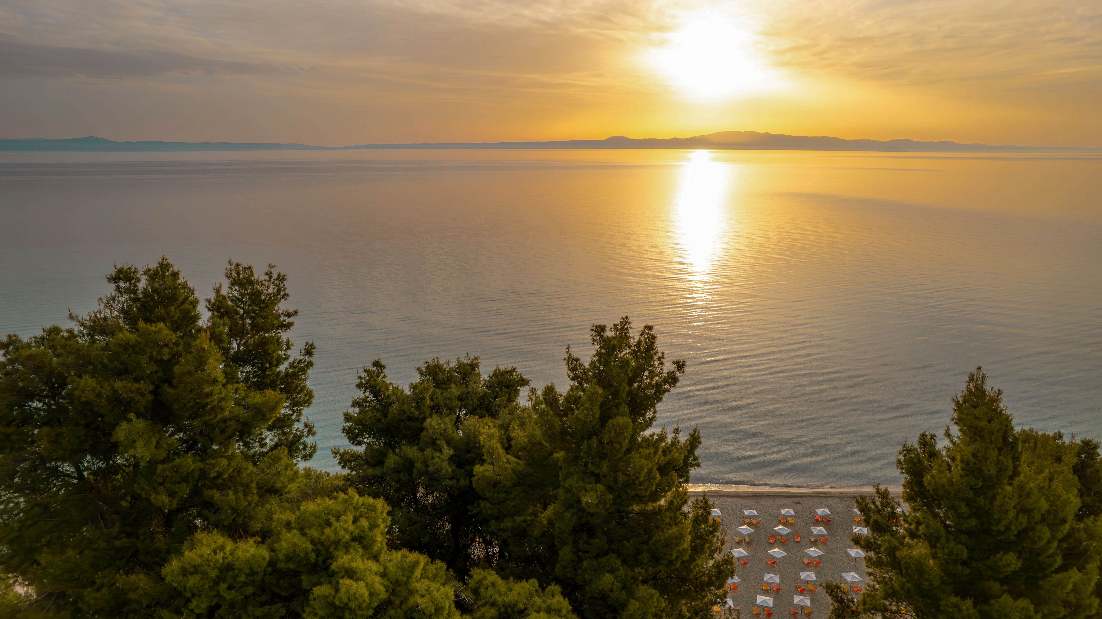 Canvas by Mitsis Alexander the Great