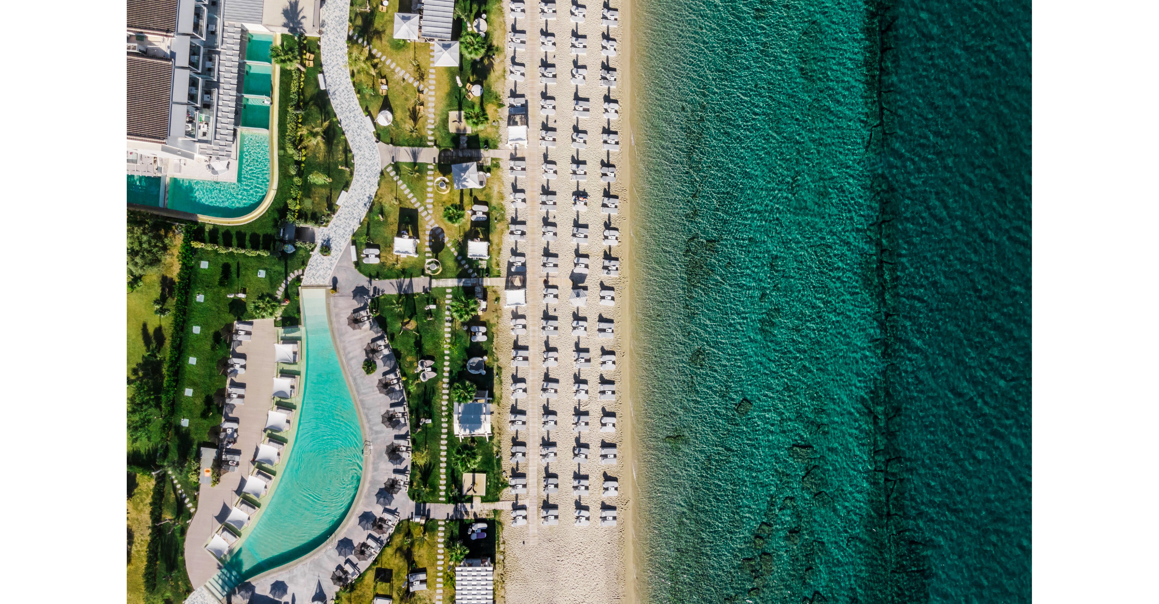 Blue Carpet Luxury Suites