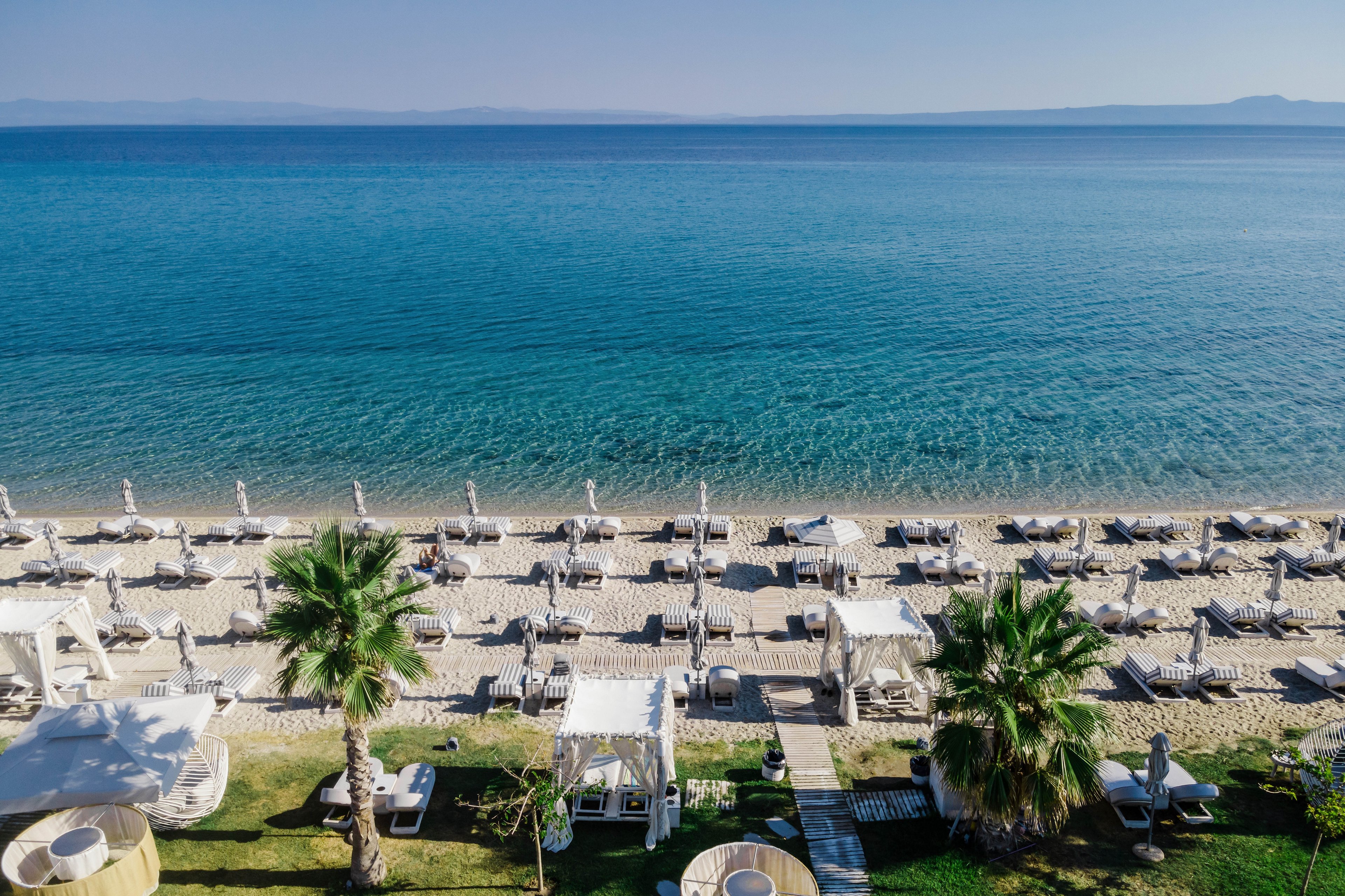 Blue Carpet Luxury Suites