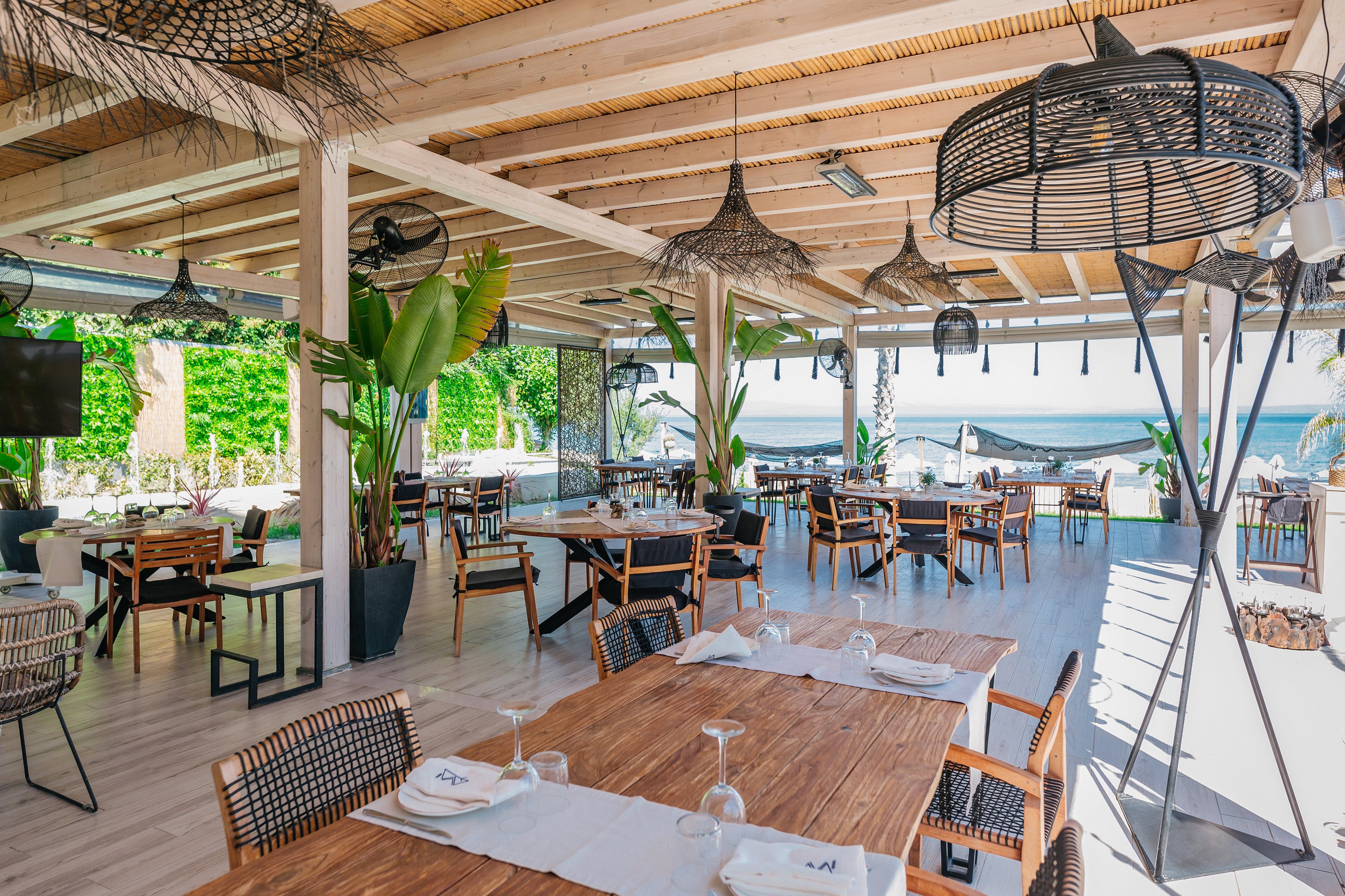 Blue Carpet Luxury Suites