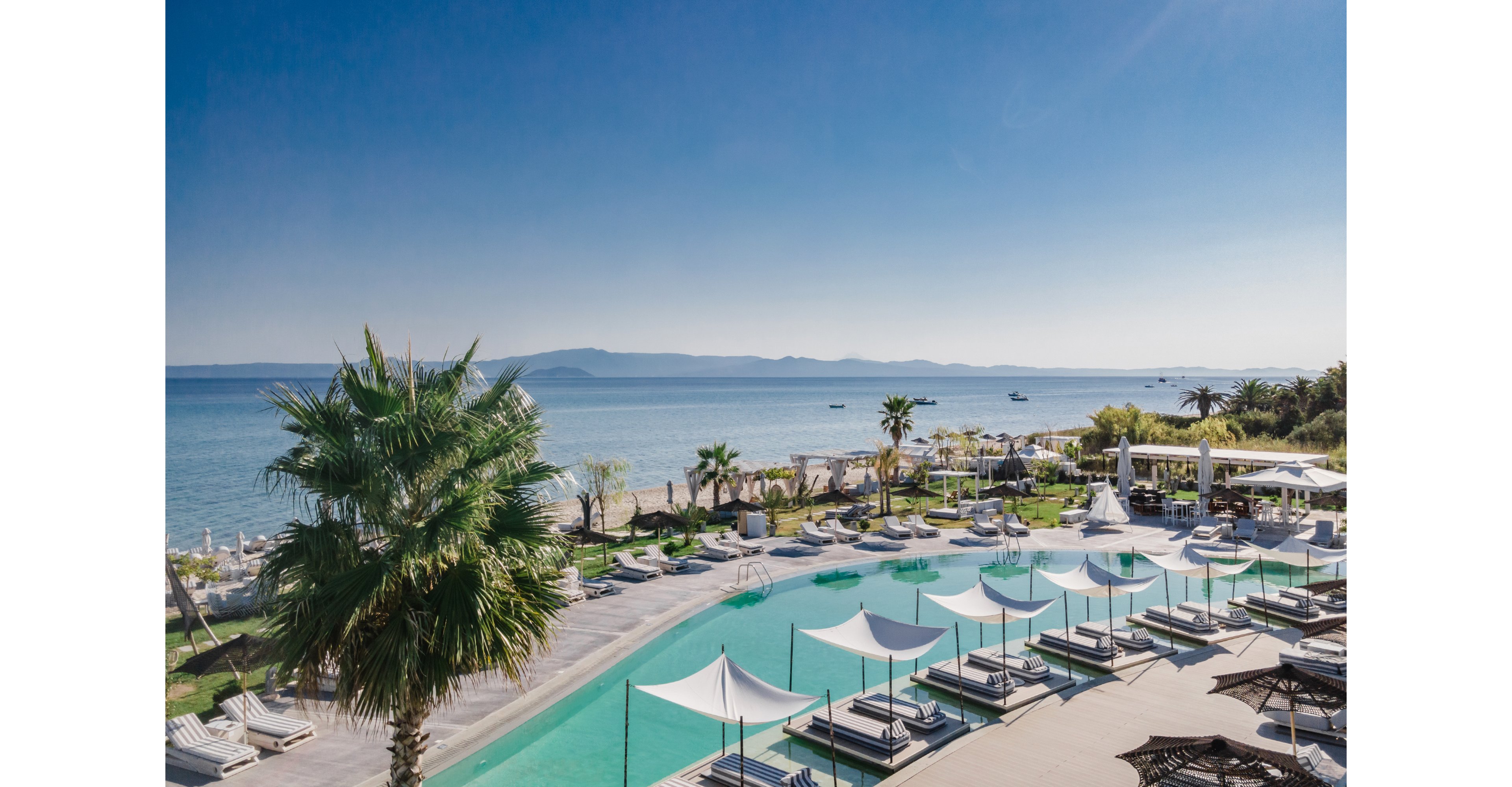 Blue Carpet Luxury Suites