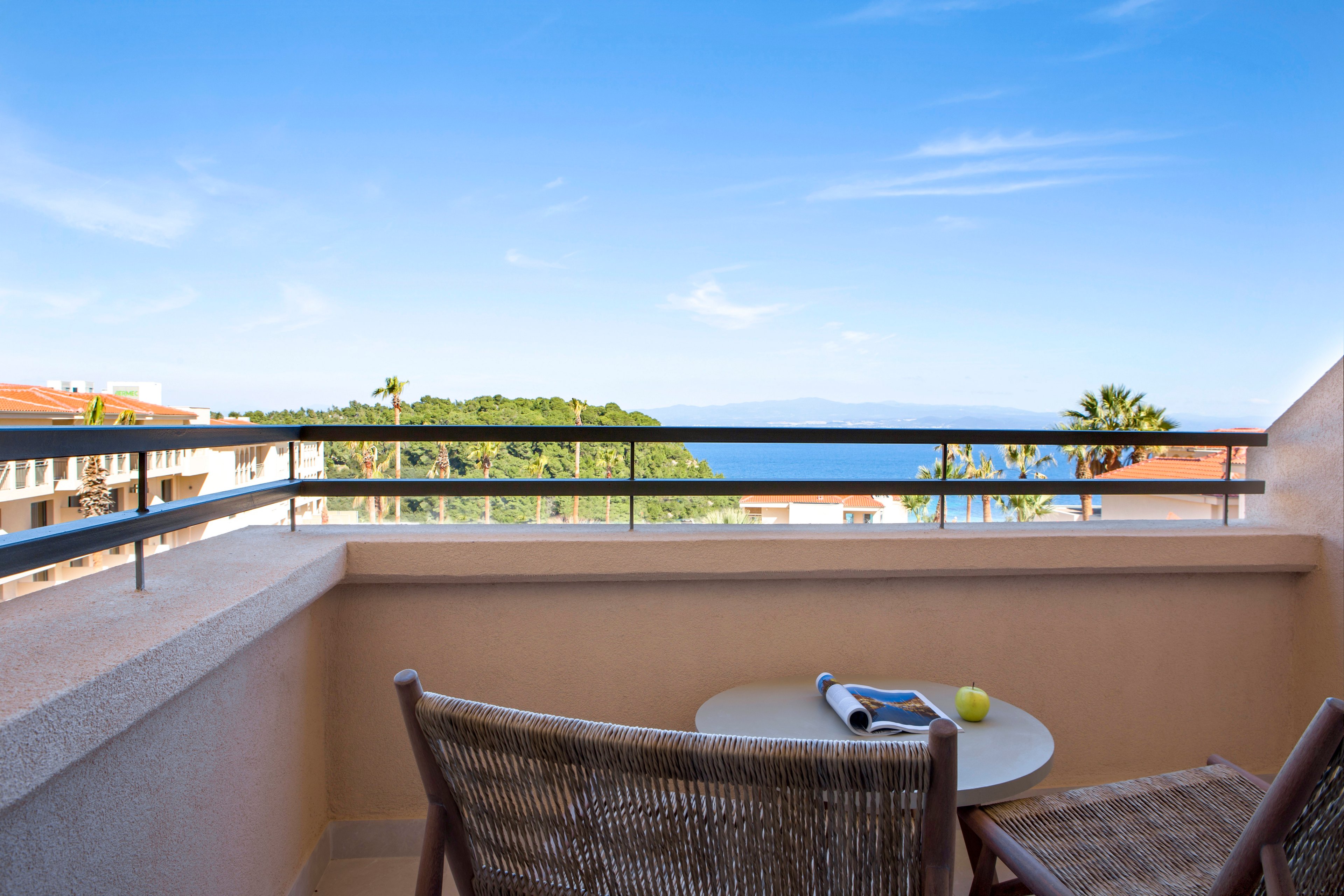 MERAVIA Leonardo Limited Edition