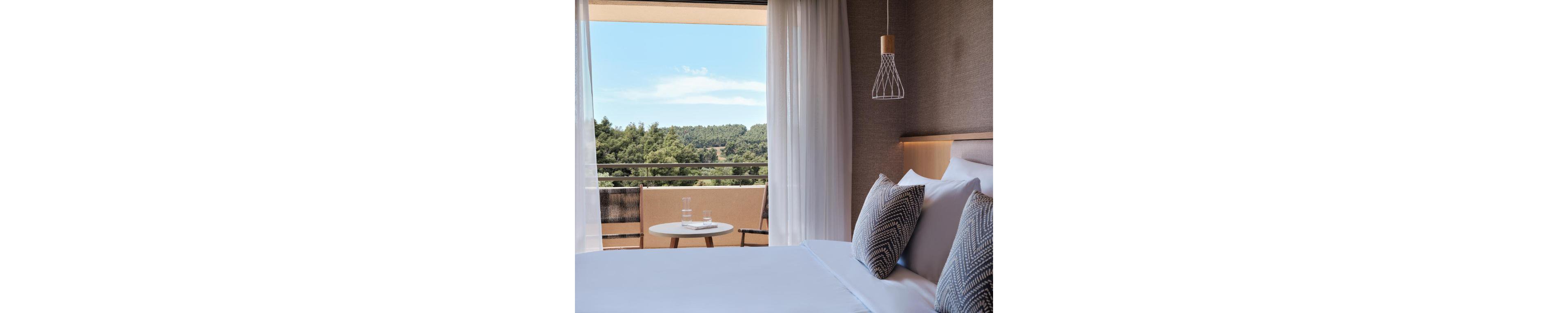 MERAVIA Leonardo Limited Edition