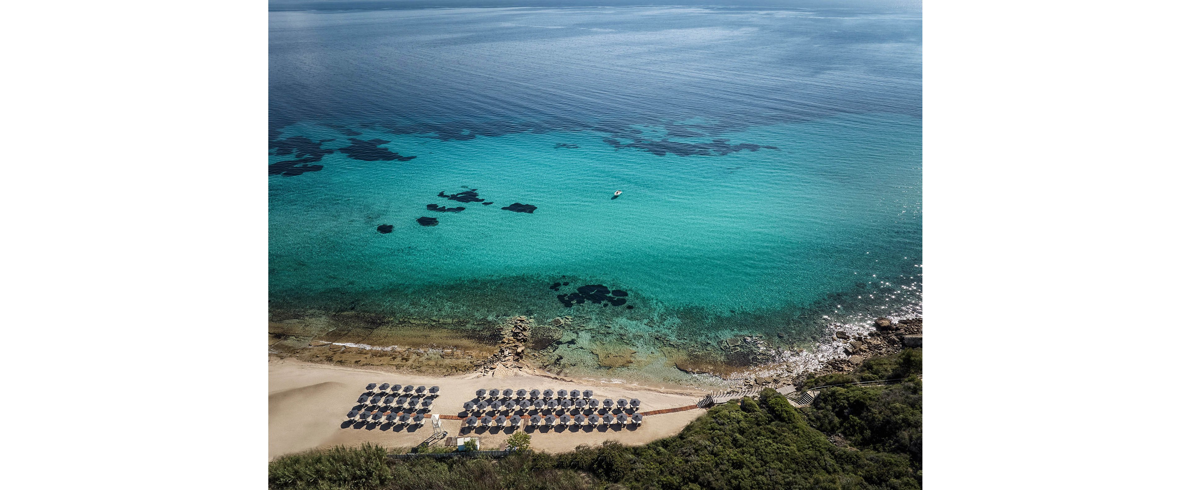 MERAVIA Leonardo Limited Edition