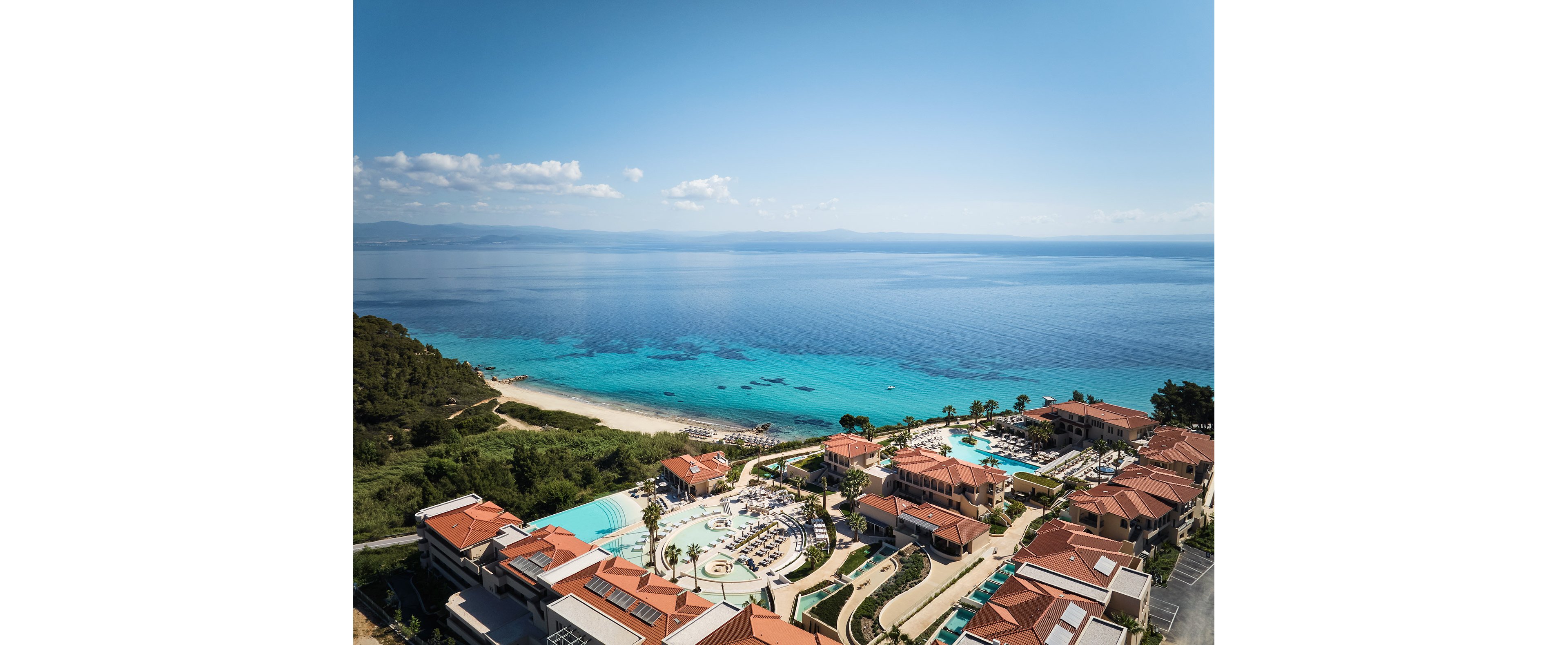 MERAVIA Leonardo Limited Edition