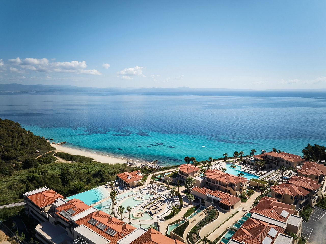 MERAVIA Leonardo Limited Edition