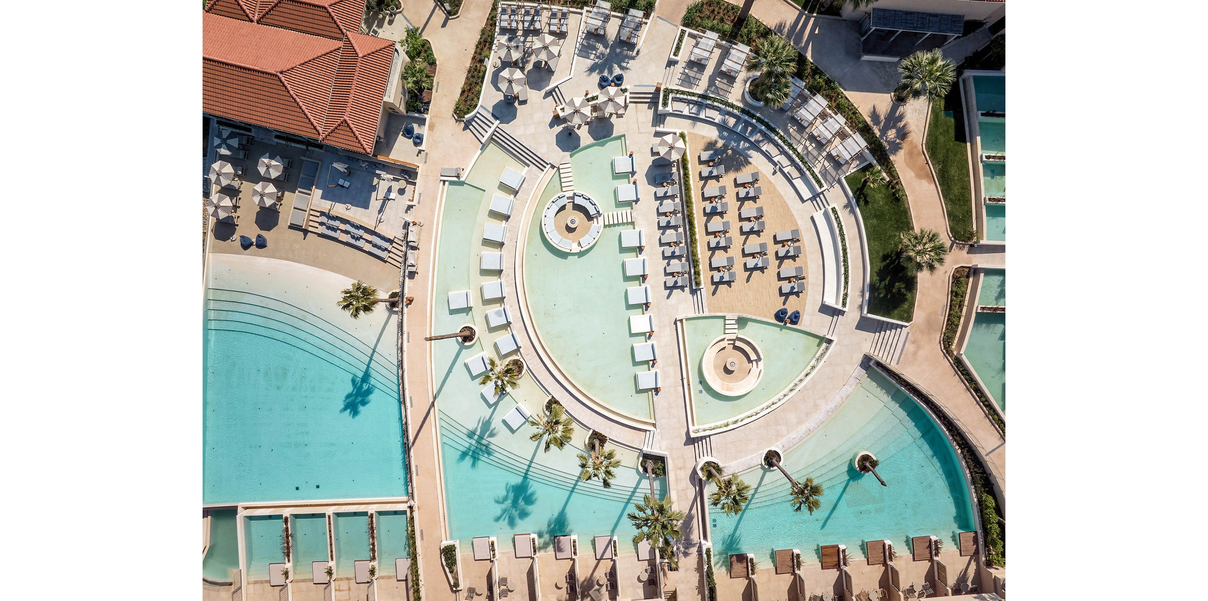 MERAVIA Leonardo Limited Edition