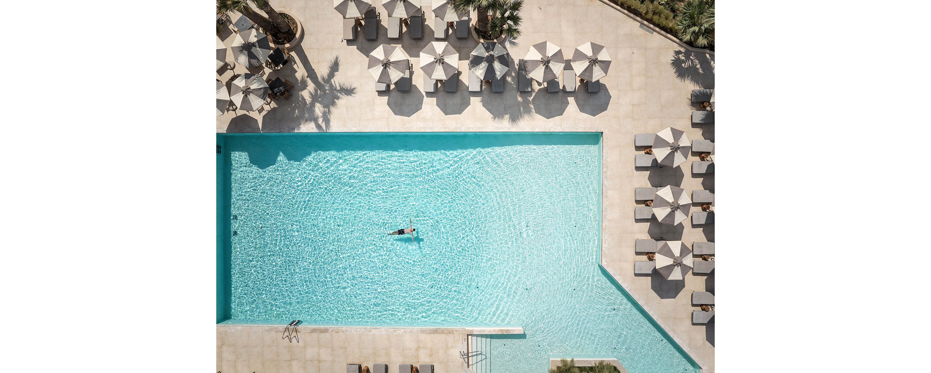 MERAVIA Leonardo Limited Edition