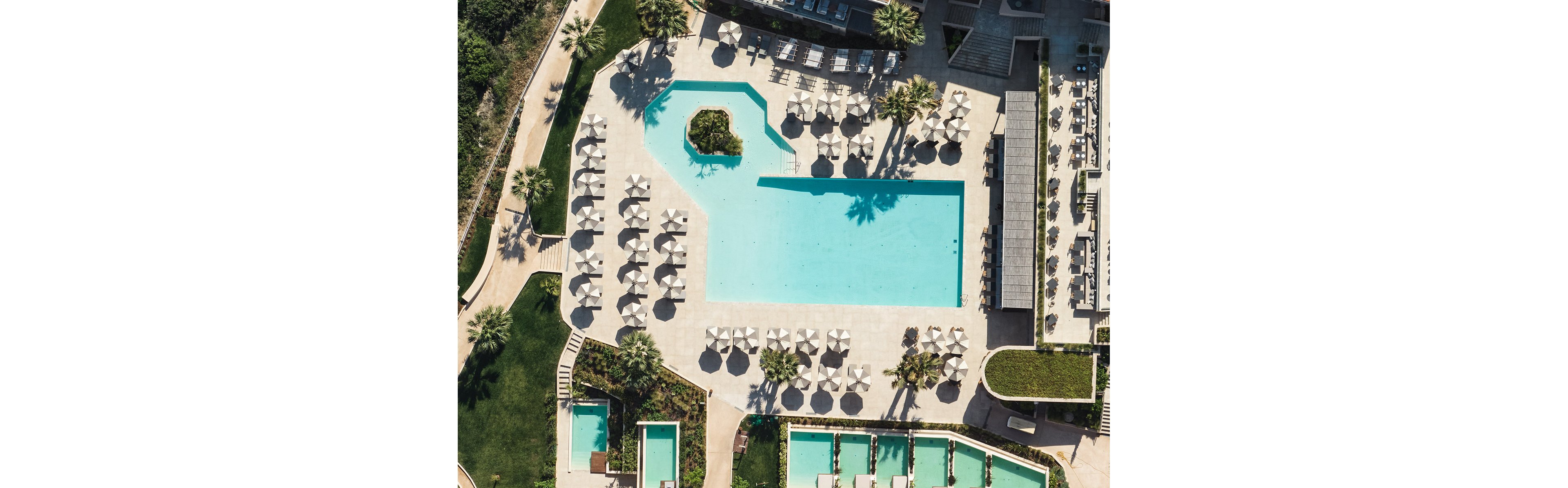 MERAVIA Leonardo Limited Edition