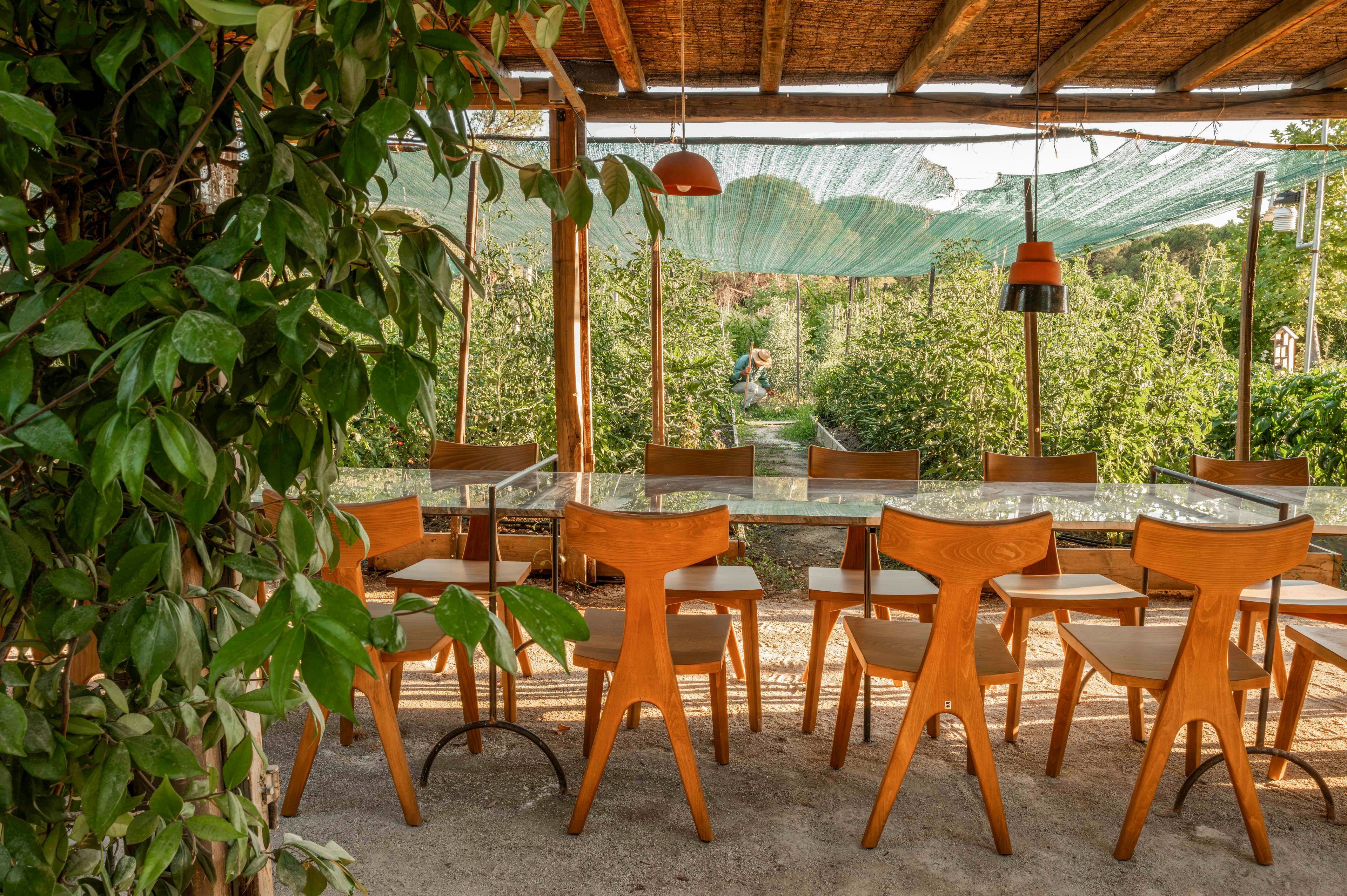 An open-air dining space features a long glass-top table surrounded by modern wooden chairs. The area is shaded by a rustic wooden pergola with hanging orange lamps and green netting overhead. Lush greenery and garden rows extend into the background, where a person walks among the plants. Sunlit foliage and natural materials create a warm, inviting atmosphere for outdoor gatherings.