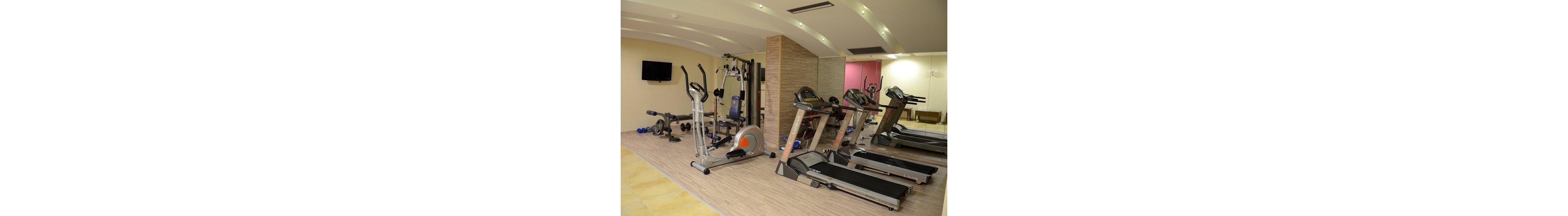 A well-lit gym features several treadmills, a multi-station weight machine, and free weights. The setting is clean and contemporary, with light wood flooring and mirrored walls enhancing the spacious feel. Dumbbells and exercise balls are visible, along with a wall-mounted television. The room is empty, emphasizing the equipment and inviting atmosphere.