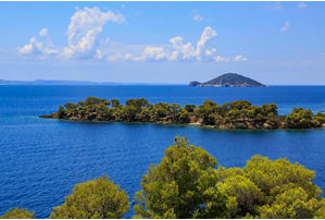 Turtle Island