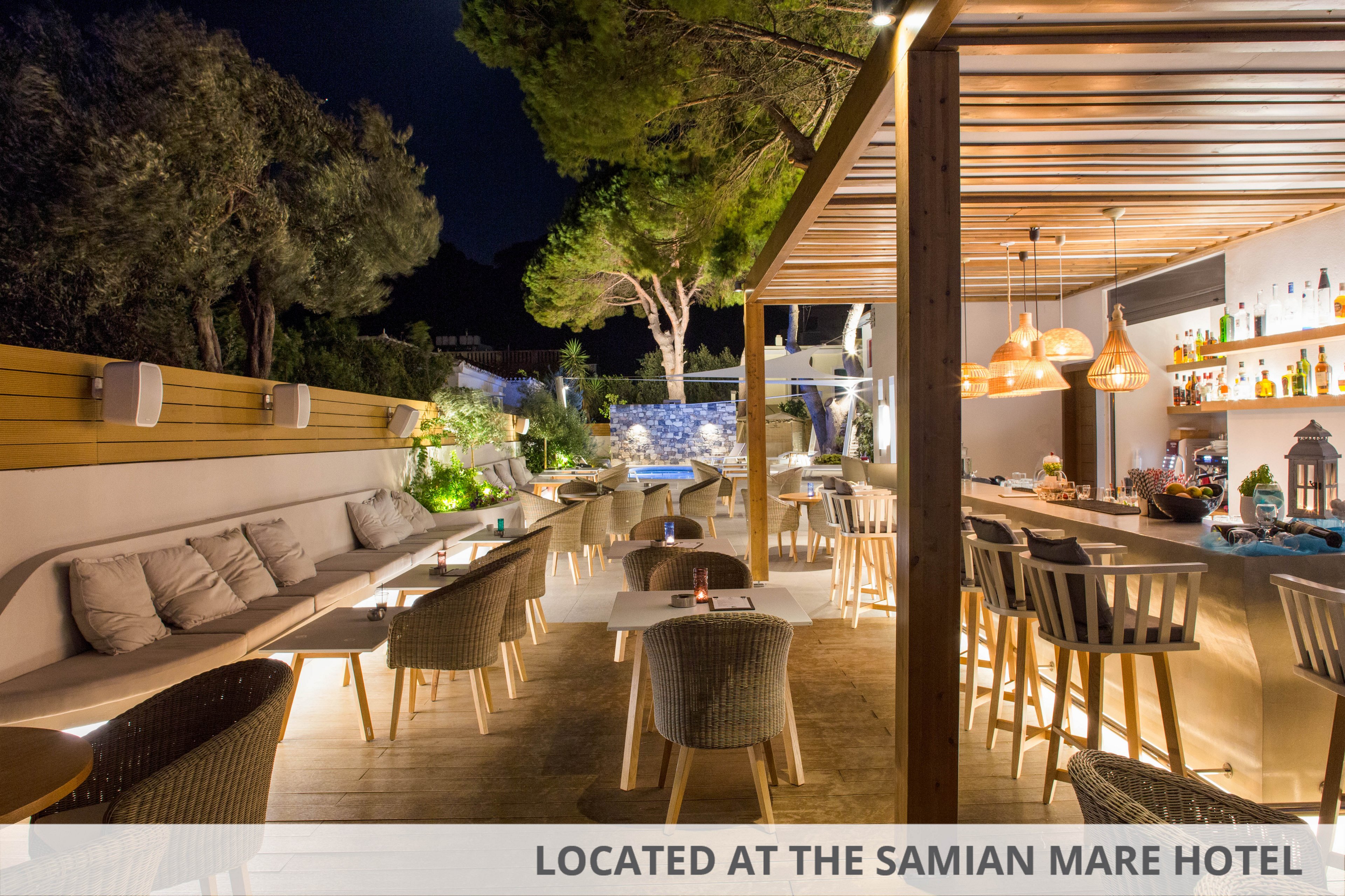 Erato by Samian Mare