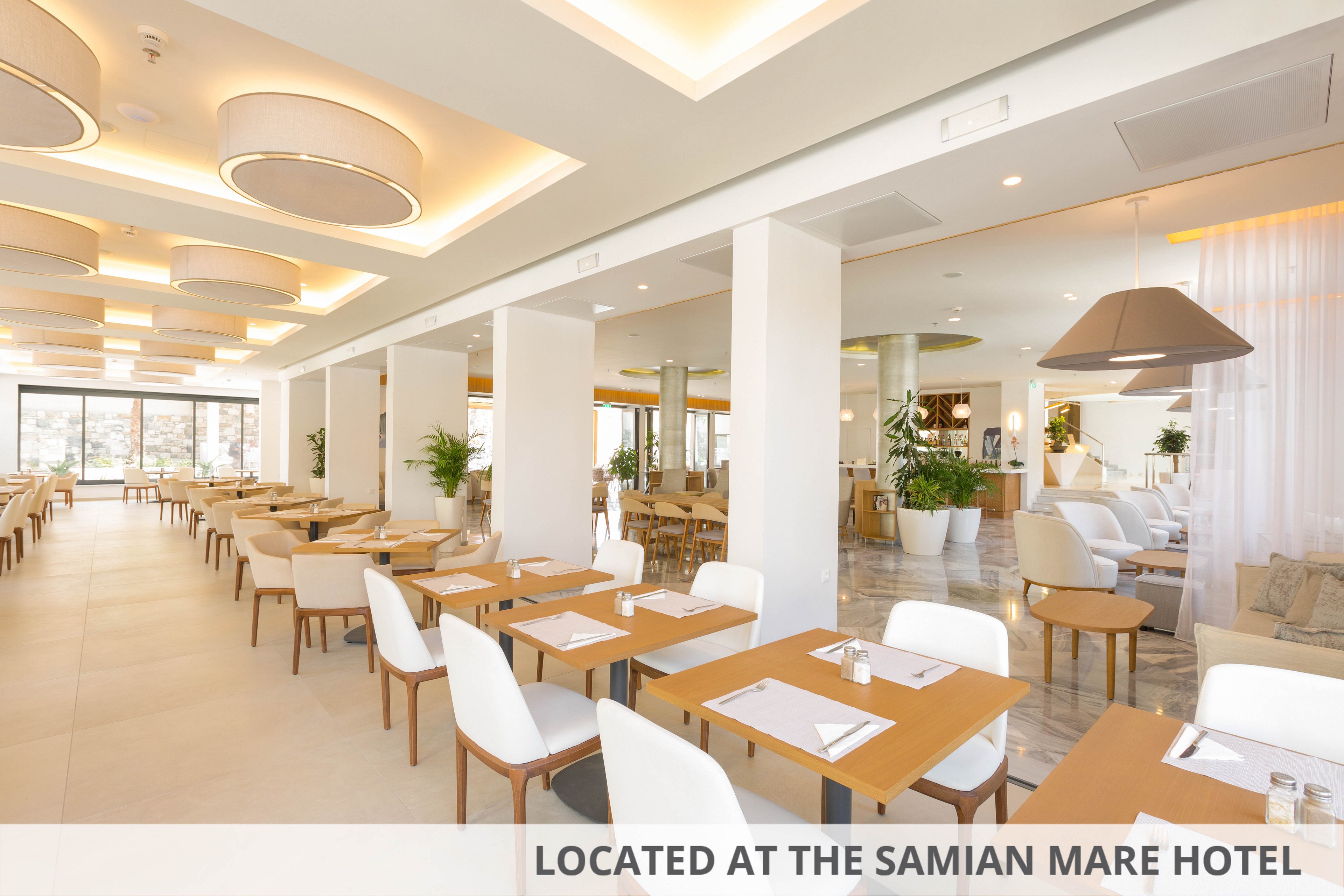 Erato by Samian Mare