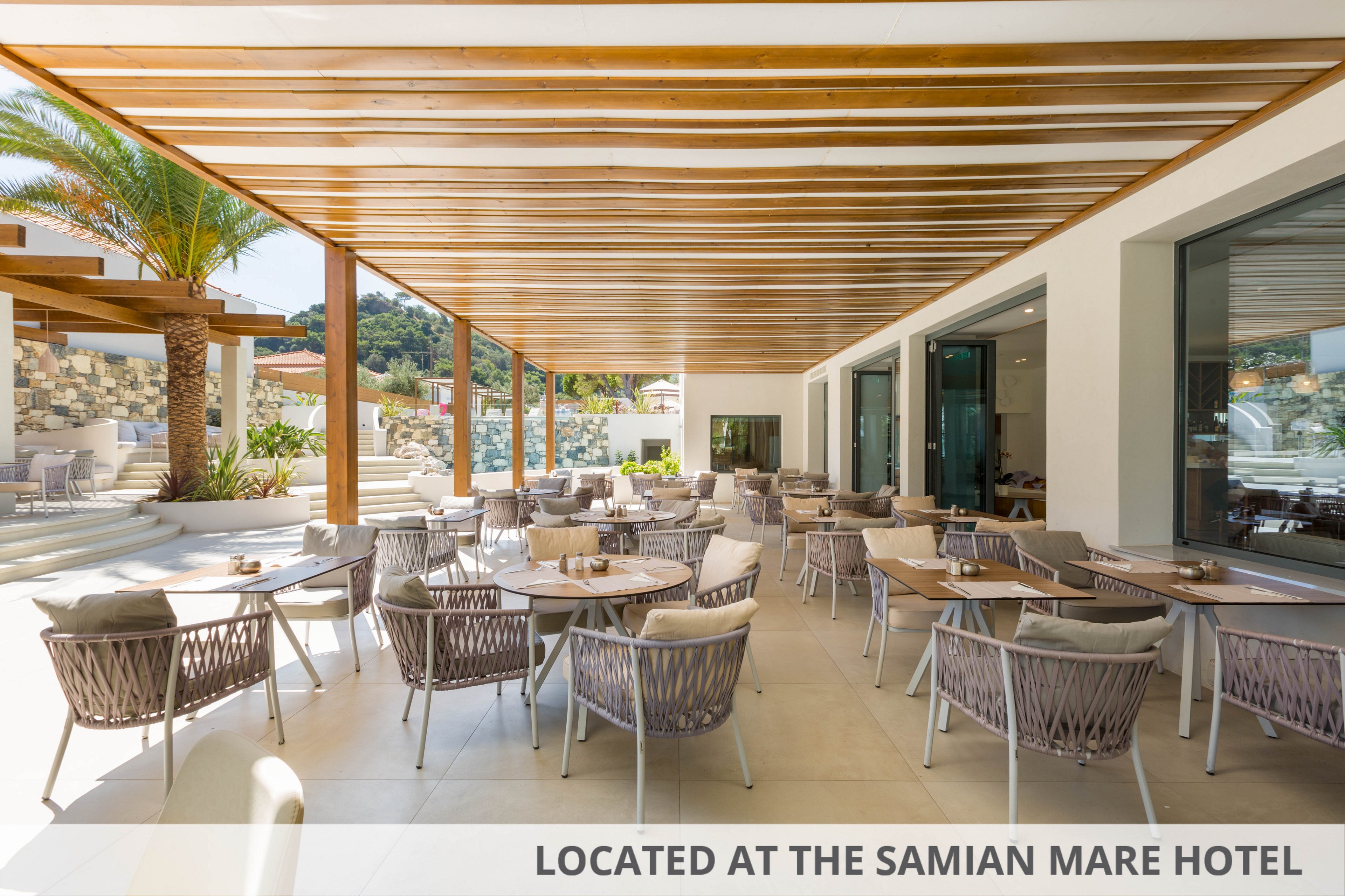 Erato by Samian Mare