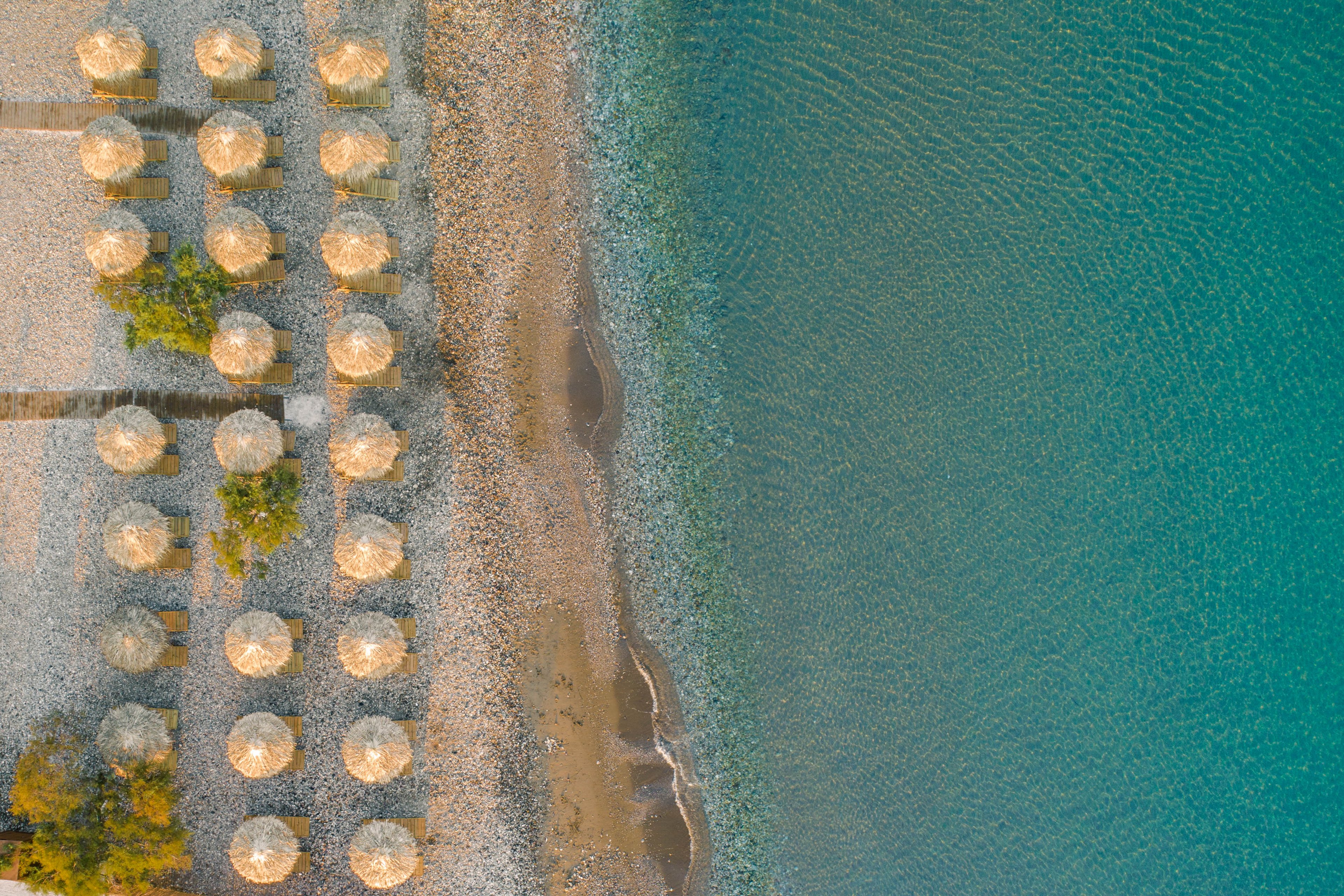 Erato by Samian Mare