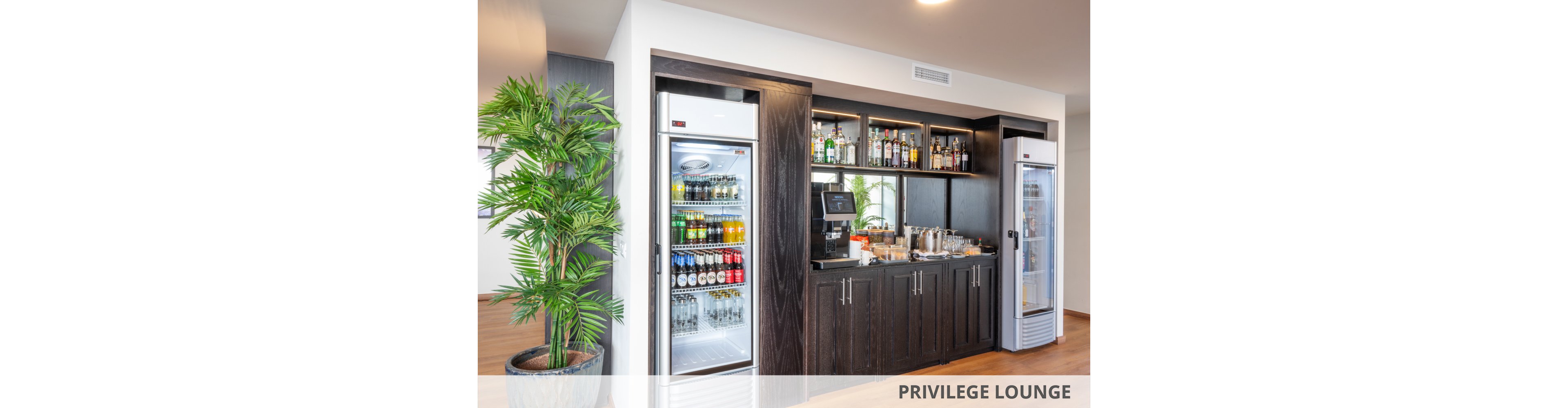 A contemporary beverage station features two glass door refrigerators stocked with assorted drinks and bottled beverages. The central counter area includes a coffee machine, cups, and various condiments, with shelves above displaying a selection of spirits and glassware. The setting is clean and well-lit, with a large potted plant adding a touch of greenery. The overall mood is inviting and organized, suitable for a lounge or hospitality environment.