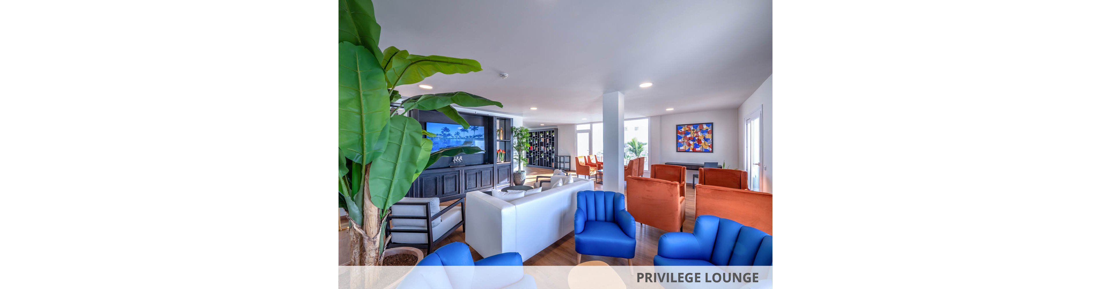 A contemporary lounge area features blue and orange armchairs, white sofas, and a large flat-screen television mounted on a dark entertainment unit. The space is well-lit with natural light, accented by indoor plants and colorful abstract artwork on the wall. The overall mood is inviting and lively, with a mix of warm and cool tones creating a stylish atmosphere.
