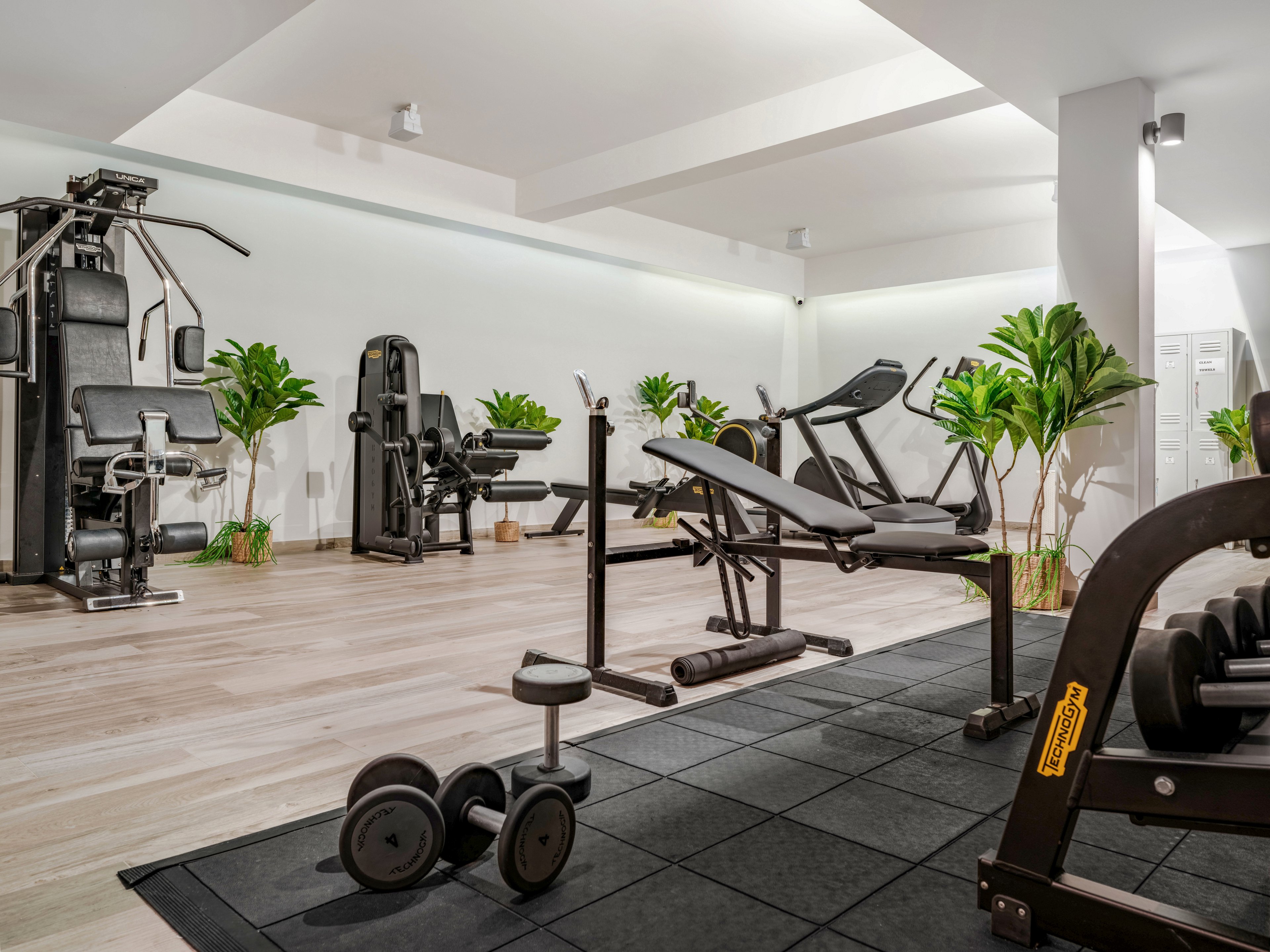 A modern indoor gym features various weight training machines and benches arranged neatly in a bright, spacious room. Free weights and dumbbells rest on a rubber mat in the foreground, while larger strength machines line the back wall. Light wooden flooring contrasts with the dark gym equipment, and several green potted plants add a fresh touch to the space. The clean, minimalist design and soft lighting create an inviting environment for fitness and strength training.