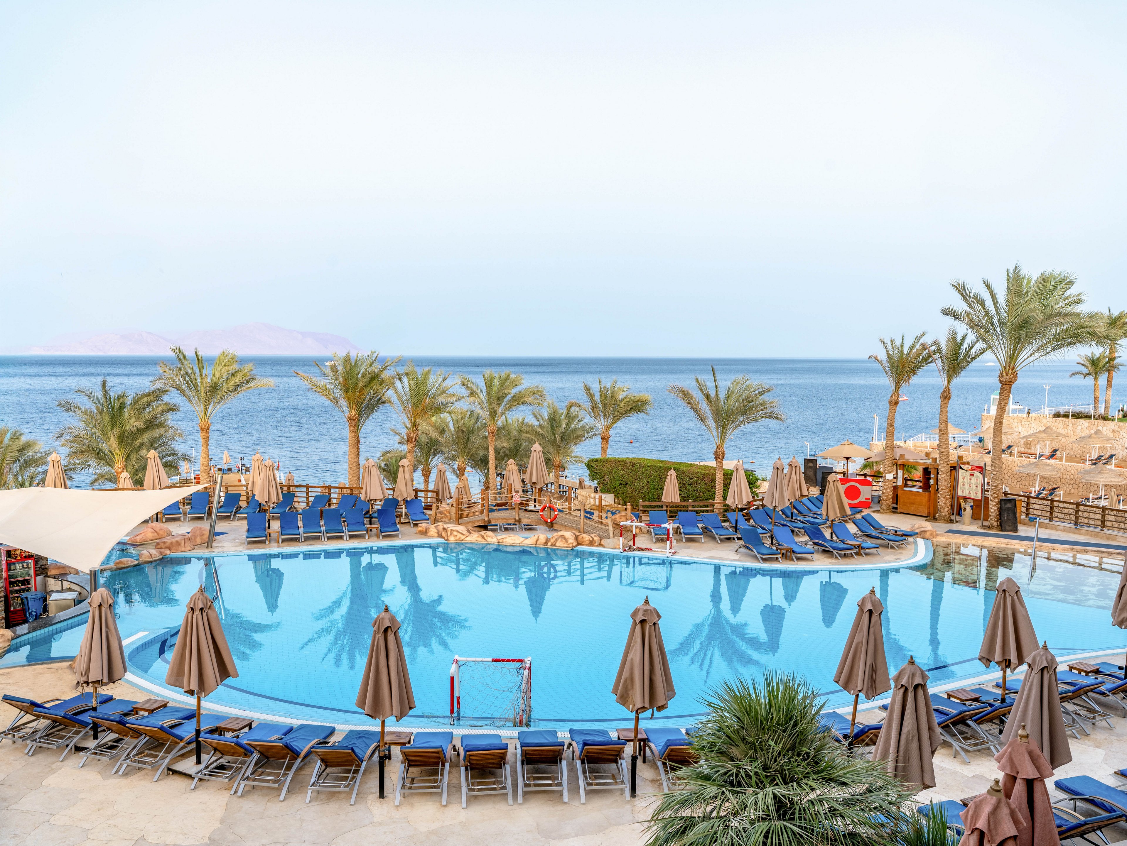 A large resort swimming pool is surrounded by rows of sun loungers and umbrellas, facing a calm blue sea. Palm trees line the pool area, adding a tropical atmosphere to the coastal setting. The scene appears quiet and relaxing, with clear skies and distant land visible across the water. Overall, the image conveys a serene vacation destination focused on leisure and sunbathing.