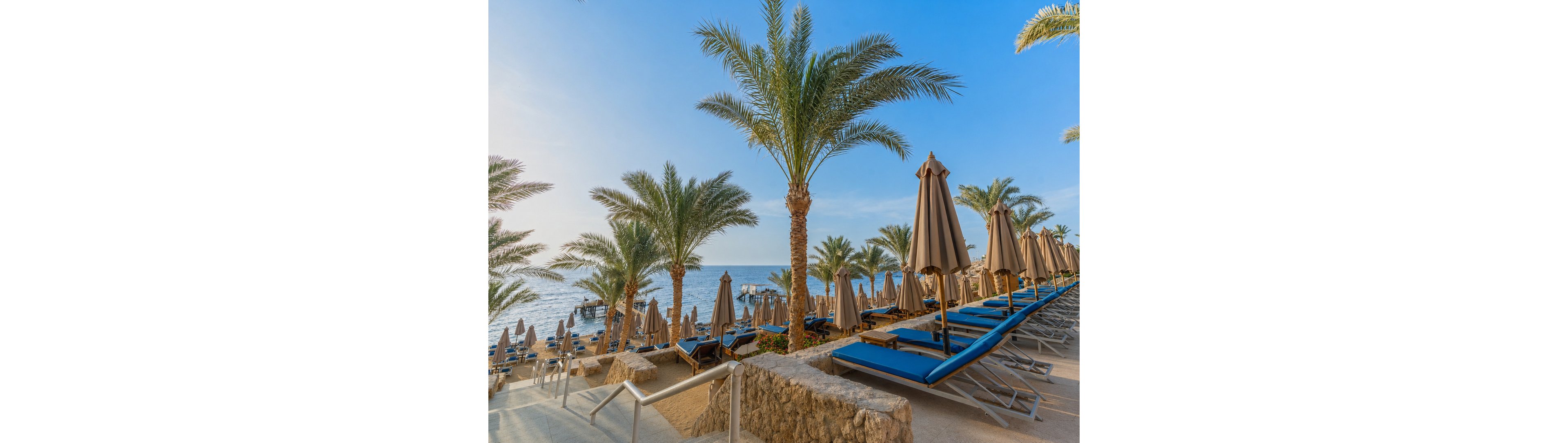 A coastal resort scene shows rows of blue sun loungers and beige umbrellas arranged on a terraced beachfront. Tall palm trees line the pathway leading down toward the calm sea and a small pier in the distance. The sky is clear and blue, suggesting a warm, sunny day at a tropical or Mediterranean destination. The overall atmosphere is tranquil and inviting, ideal for relaxation by the water.