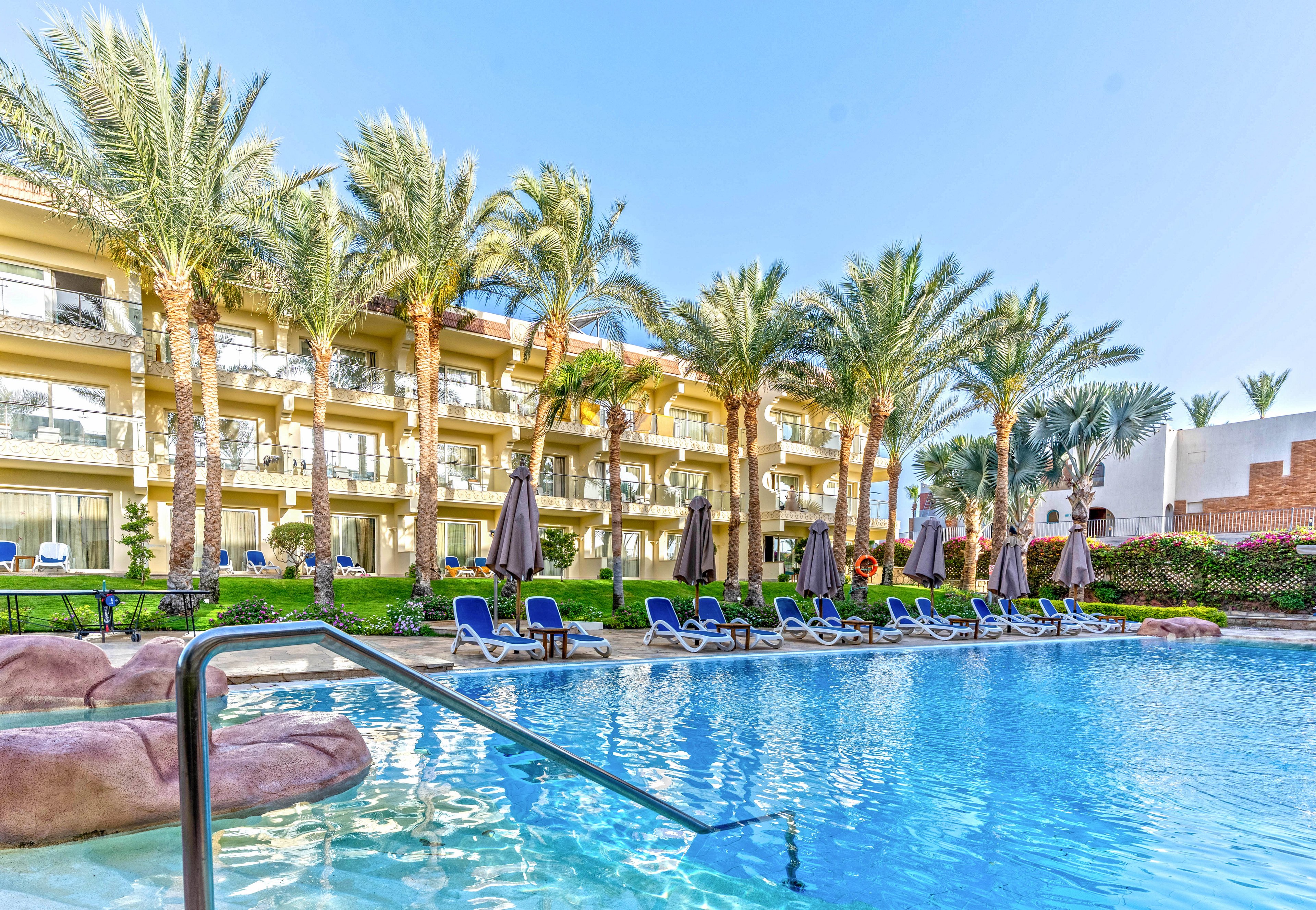 A clear blue swimming pool sits in front of a multi-story resort building lined with balconies. Tall palm trees and green landscaping surround the pool area, creating a tropical atmosphere. Blue lounge chairs and closed umbrellas are arranged neatly along the poolside. The bright daylight and cloudless sky suggest a warm, sunny vacation setting.
