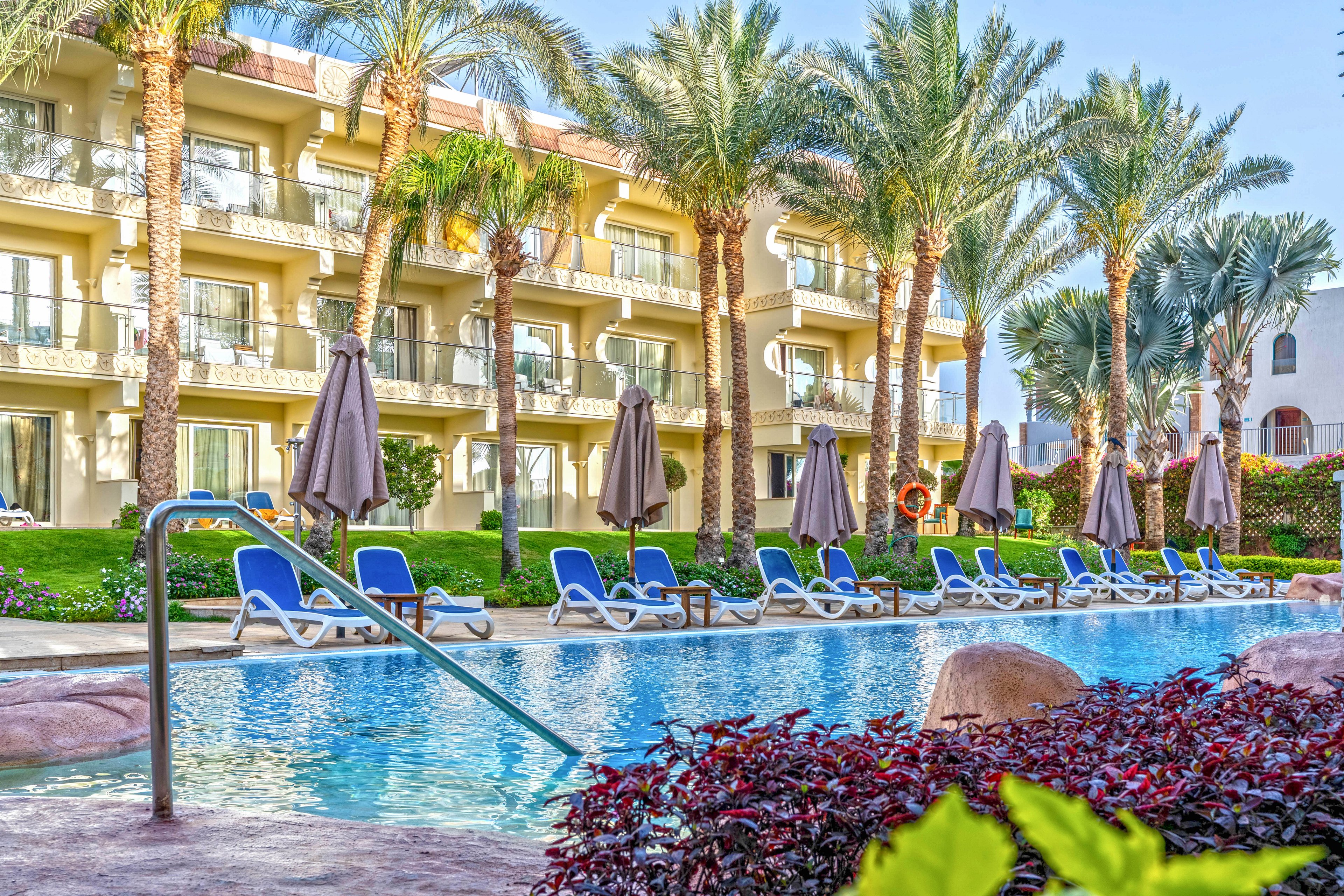 An outdoor swimming pool is surrounded by blue sun loungers and closed umbrellas in front of a multi-story resort building. Tall palm trees line the edge of the pool area, creating a lush, tropical atmosphere. The clear blue water reflects the bright sky, while landscaped plants and rocks frame the foreground. Balconies and windows on the hotel facade suggest guest rooms overlooking the pool.