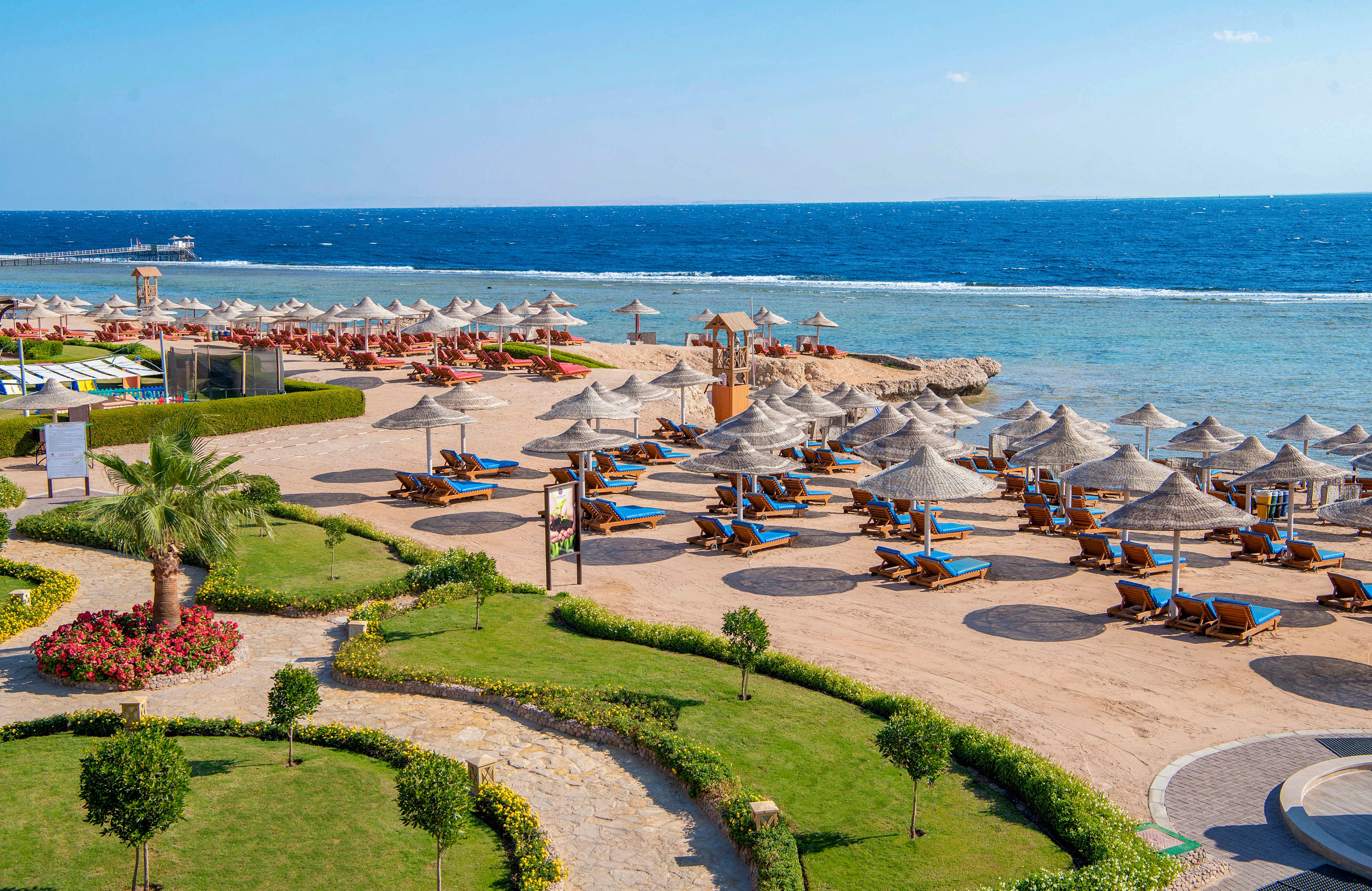 A picturesque beachfront resort featuring rows of sun loungers and straw umbrellas overlooking a calm blue sea. The foreground showcases a well-maintained garden with vibrant flowers and palm trees. The setting is sunny and inviting, perfect for relaxation and leisure by the water.