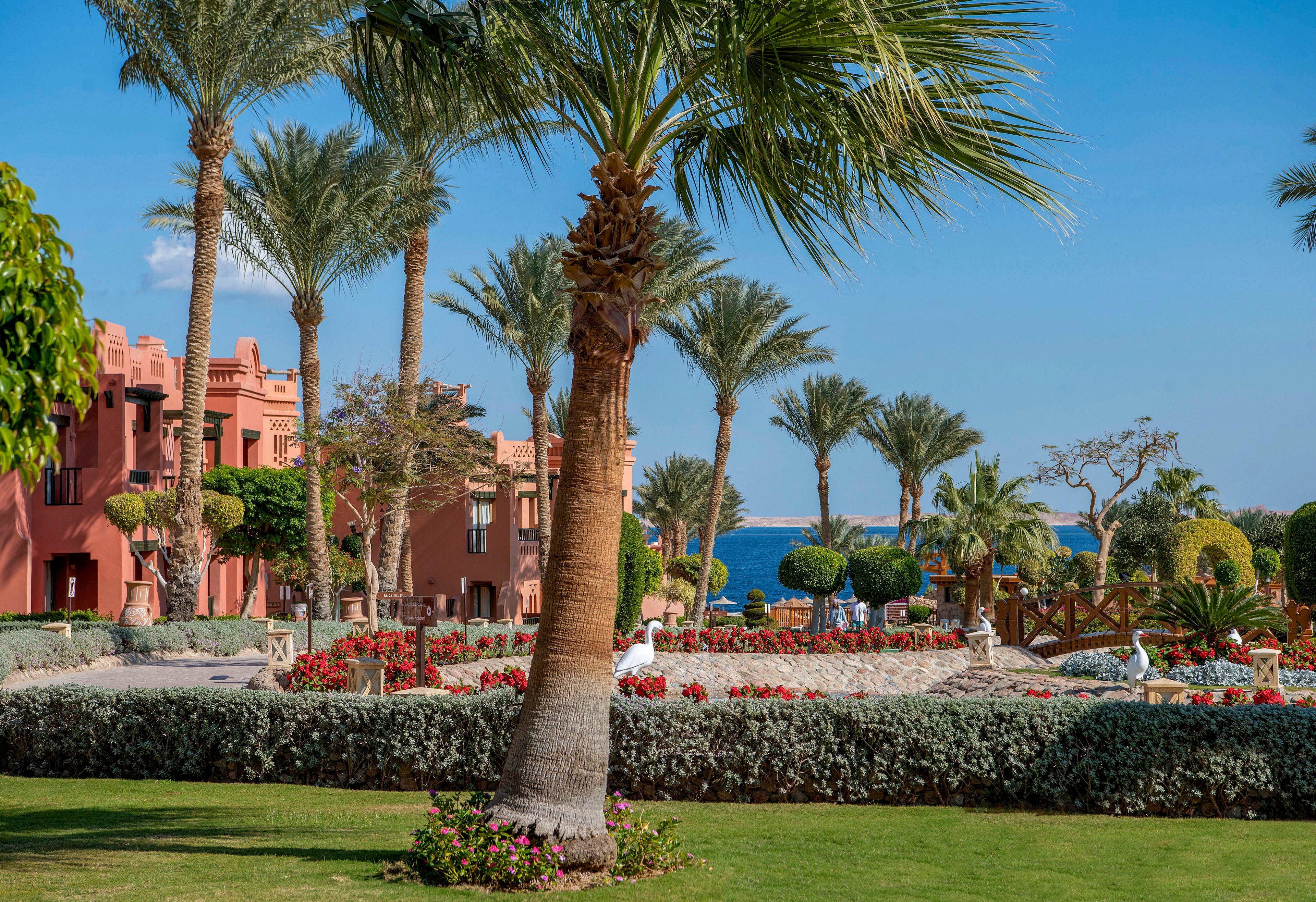 A vibrant garden featuring palm trees, colorful flowers, and neatly trimmed hedges. Red architectural buildings with intricate designs are visible in the background. The setting is sunny with a clear blue sky and a glimpse of the sea in the distance.