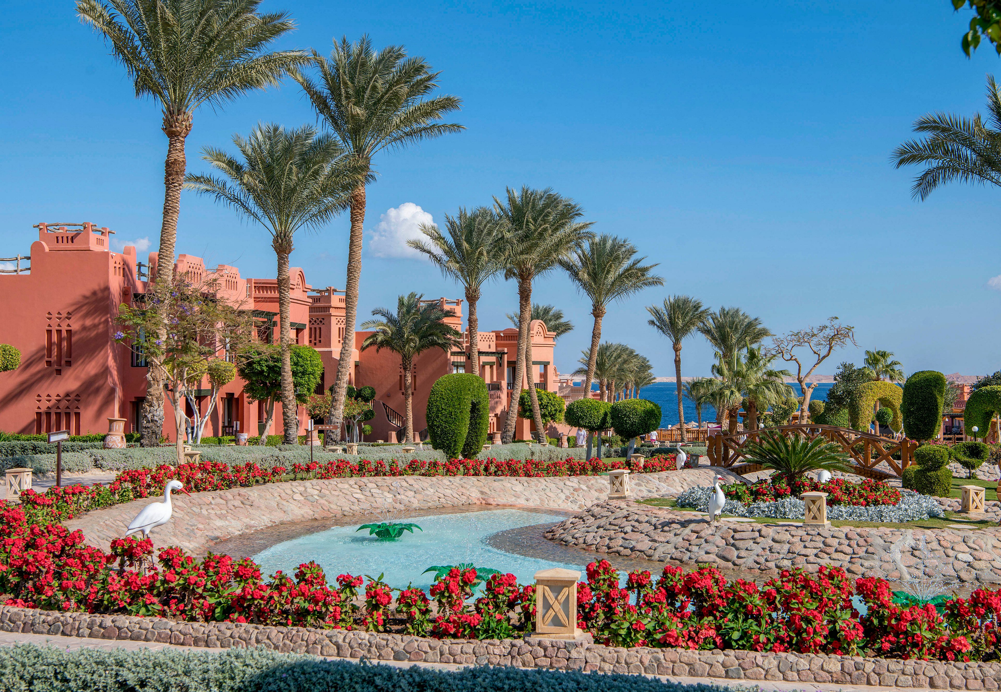A vibrant tropical resort garden featuring a circular fountain surrounded by colorful red flowers and lush greenery. Tall palm trees and neatly trimmed bushes enhance the serene atmosphere. The backdrop includes terracotta-colored buildings and a clear blue sky, evoking a tranquil vacation setting.