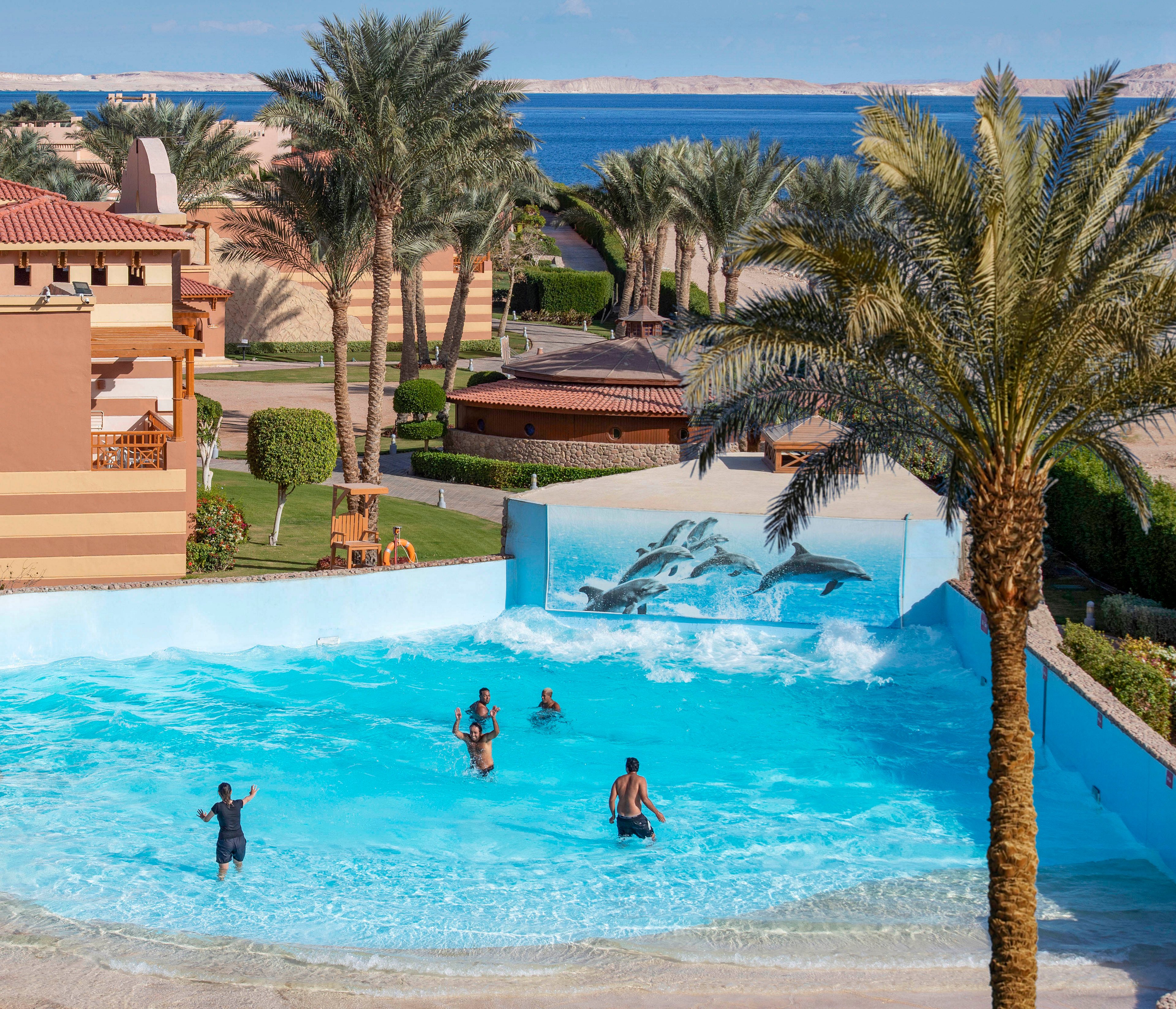 A vibrant resort pool featuring a painted dolphin mural on the backdrop, surrounded by lush palm trees and scenic architecture. Several people are enjoying the water under a sunny sky, with a view of the sea in the distance. The setting exudes a tropical and relaxing vacation vibe.
