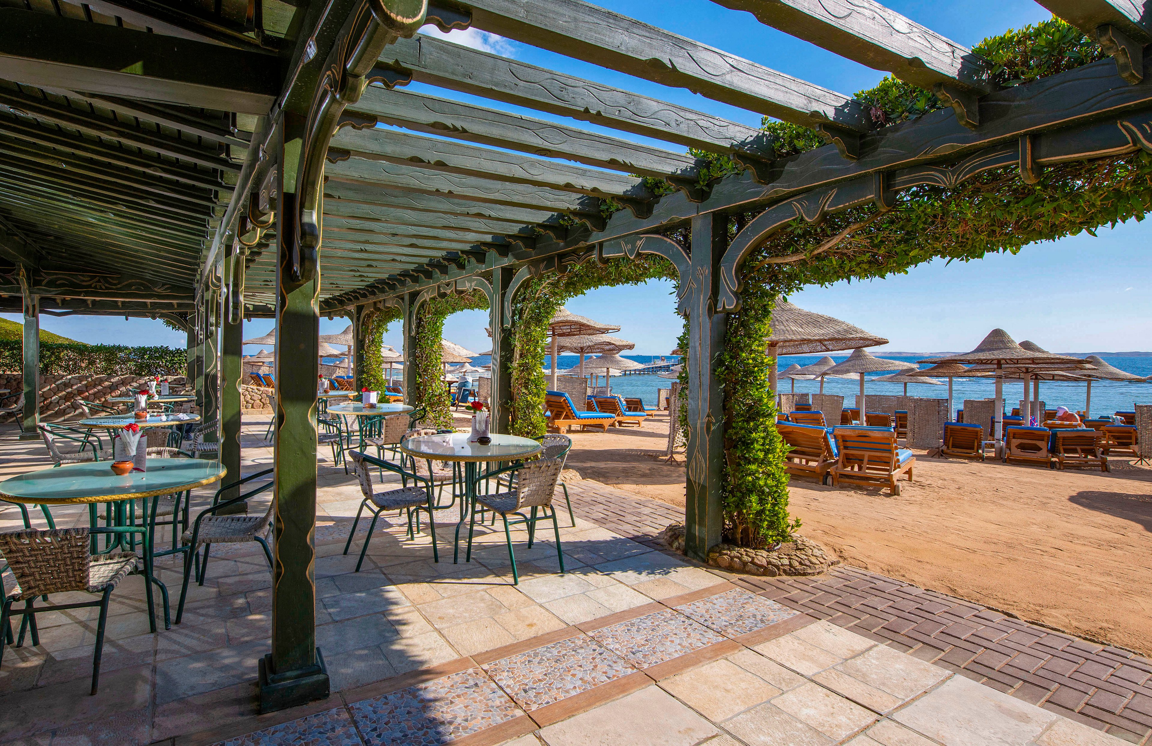 An inviting beachside cafe featuring shaded seating under a pergola adorned with greenery. The setting overlooks a sandy beach with sun loungers and straw umbrellas near the water. The bright, sunny atmosphere highlights the relaxing coastal vibe.